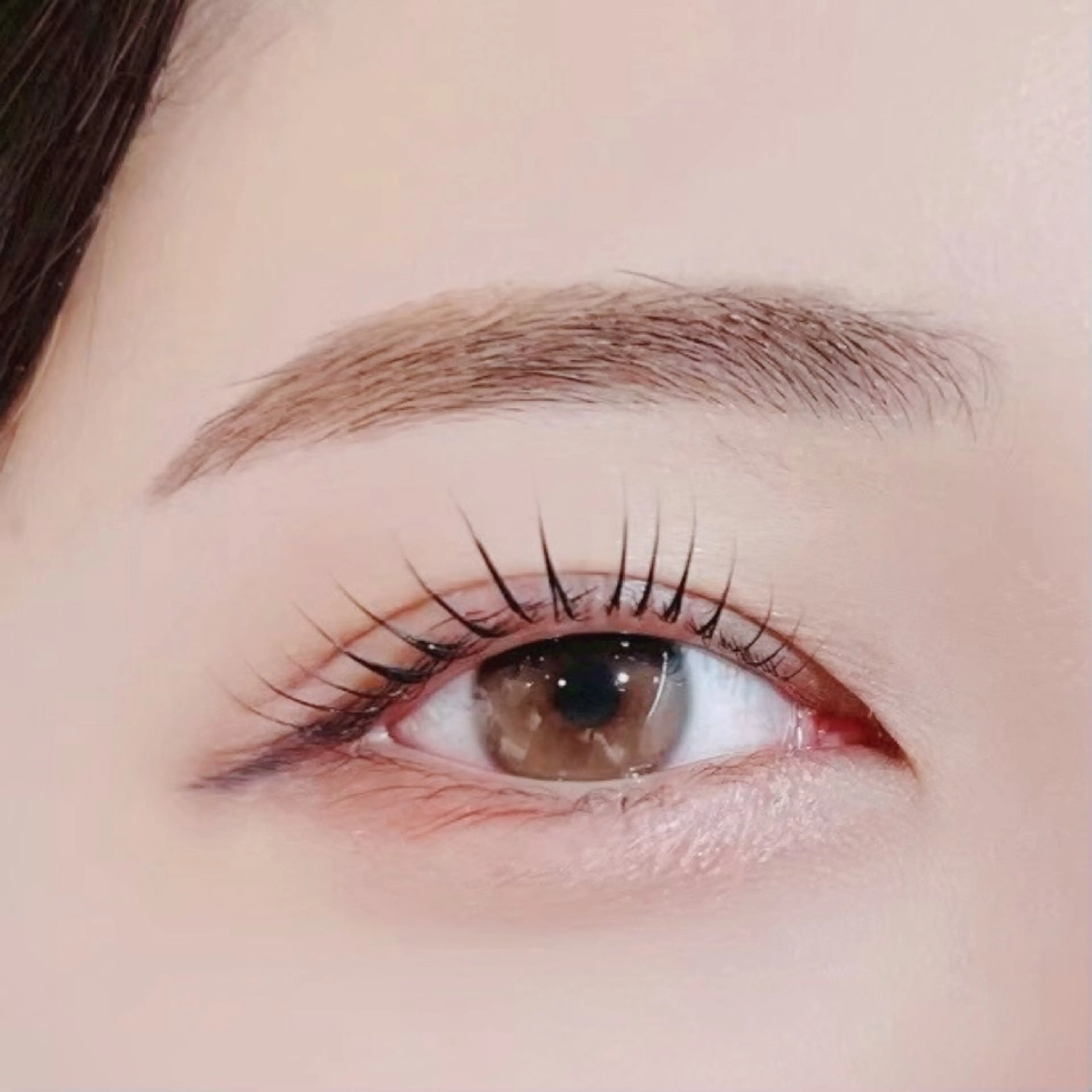まつげパーマ（パリジェンヌも可能♡）➕眉ワックス🎀コーティングトリートメント仕上げの写真
