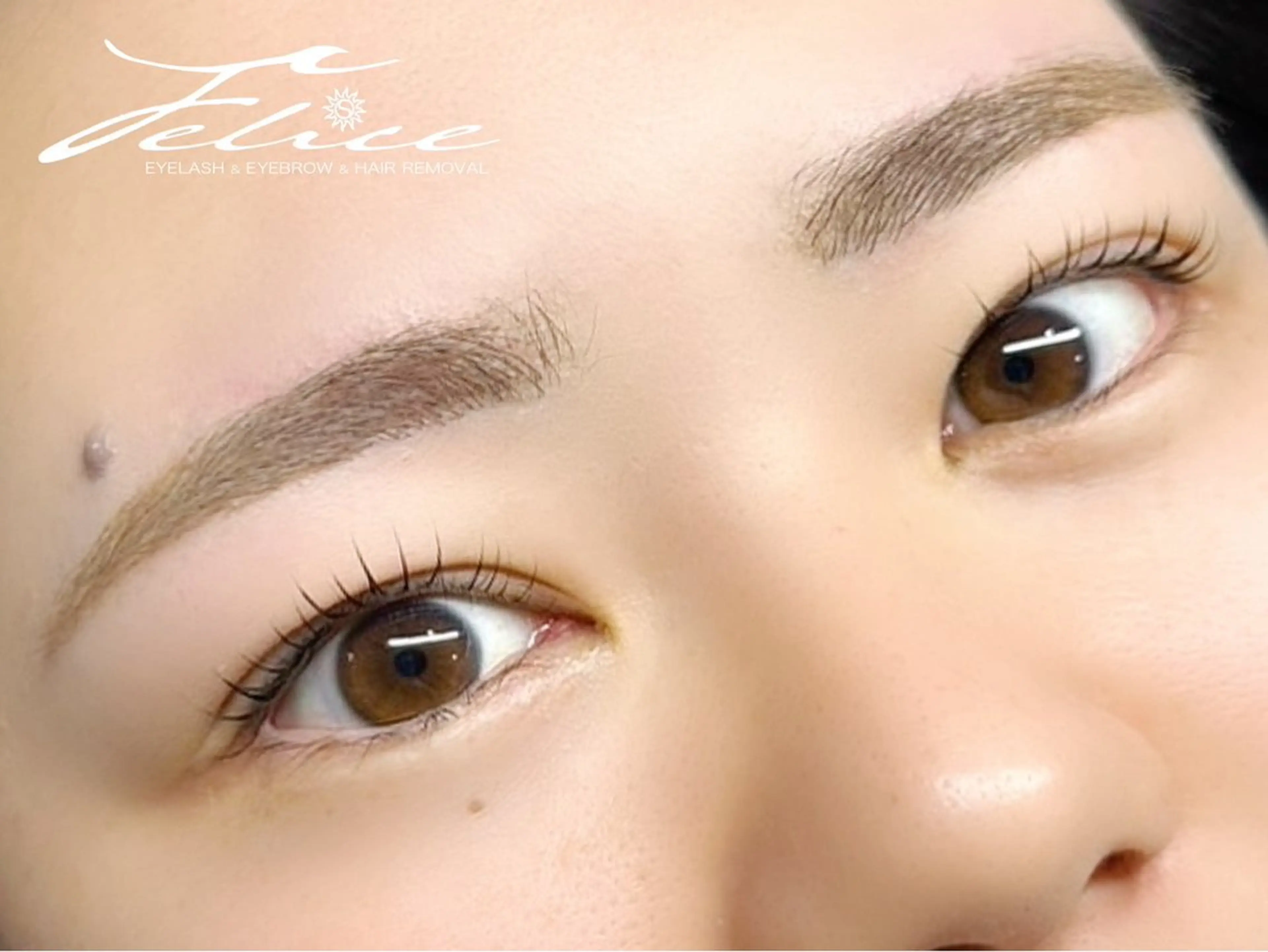 マツエク・マツパ Felice学芸大学/まつげ/眉毛専門サロン所属・Felice AYAのマツエク・マツパデザイン