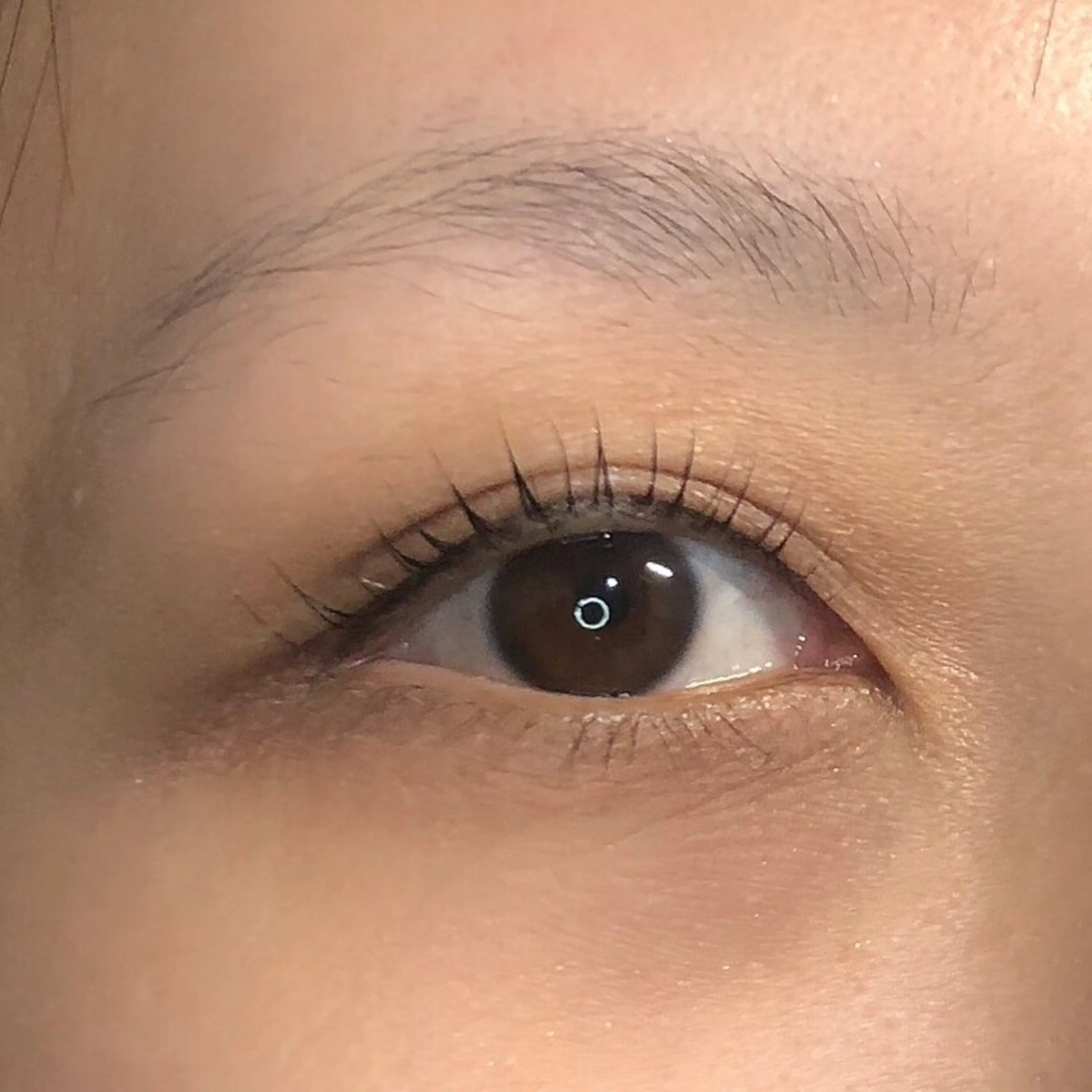 マツエク・マツパ まつげパーマ Dahliaダリア 斉藤のマツエク・マツパデザイン