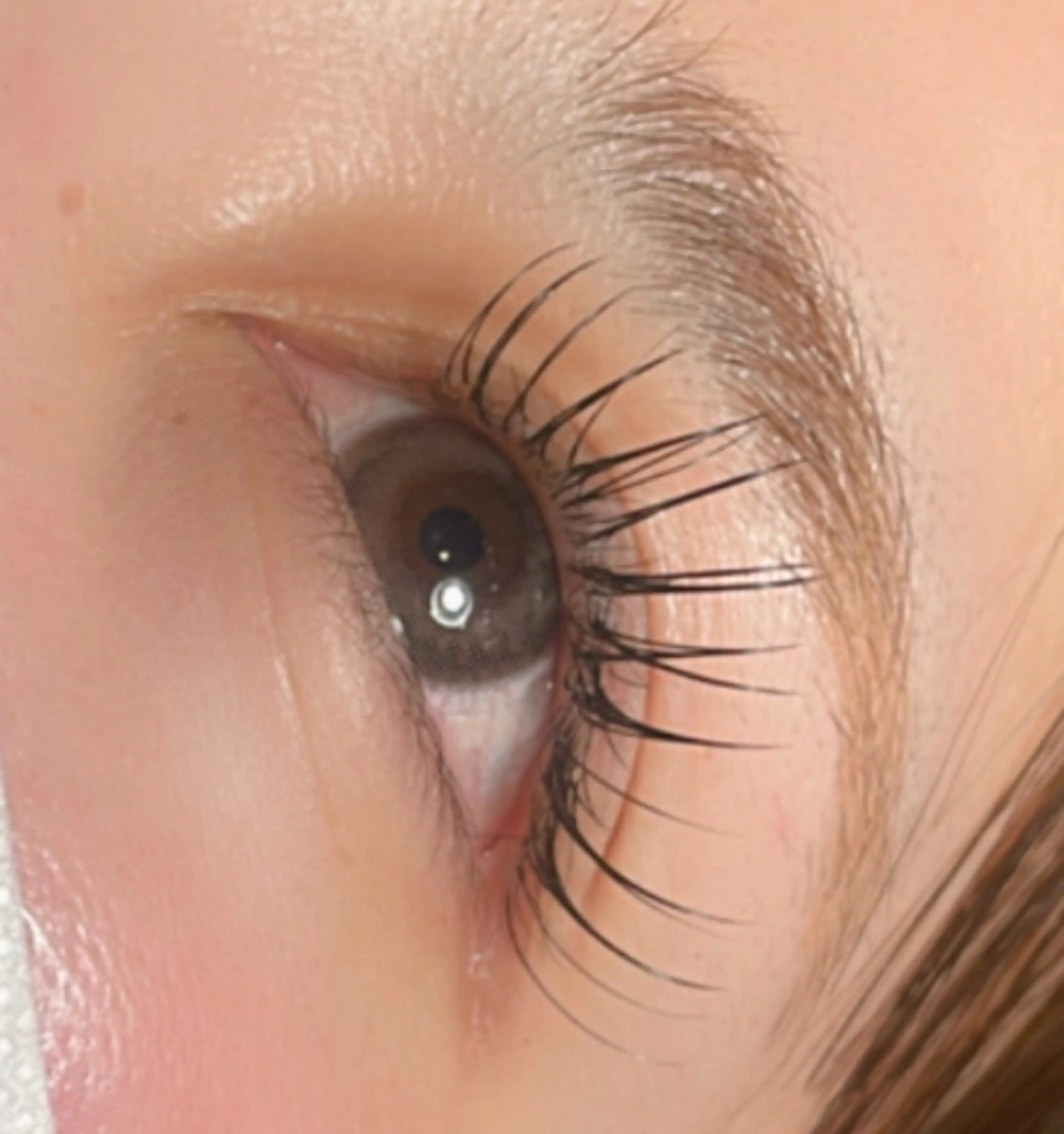 🩶マツエク🩶フラットラッシュ【120本】の写真