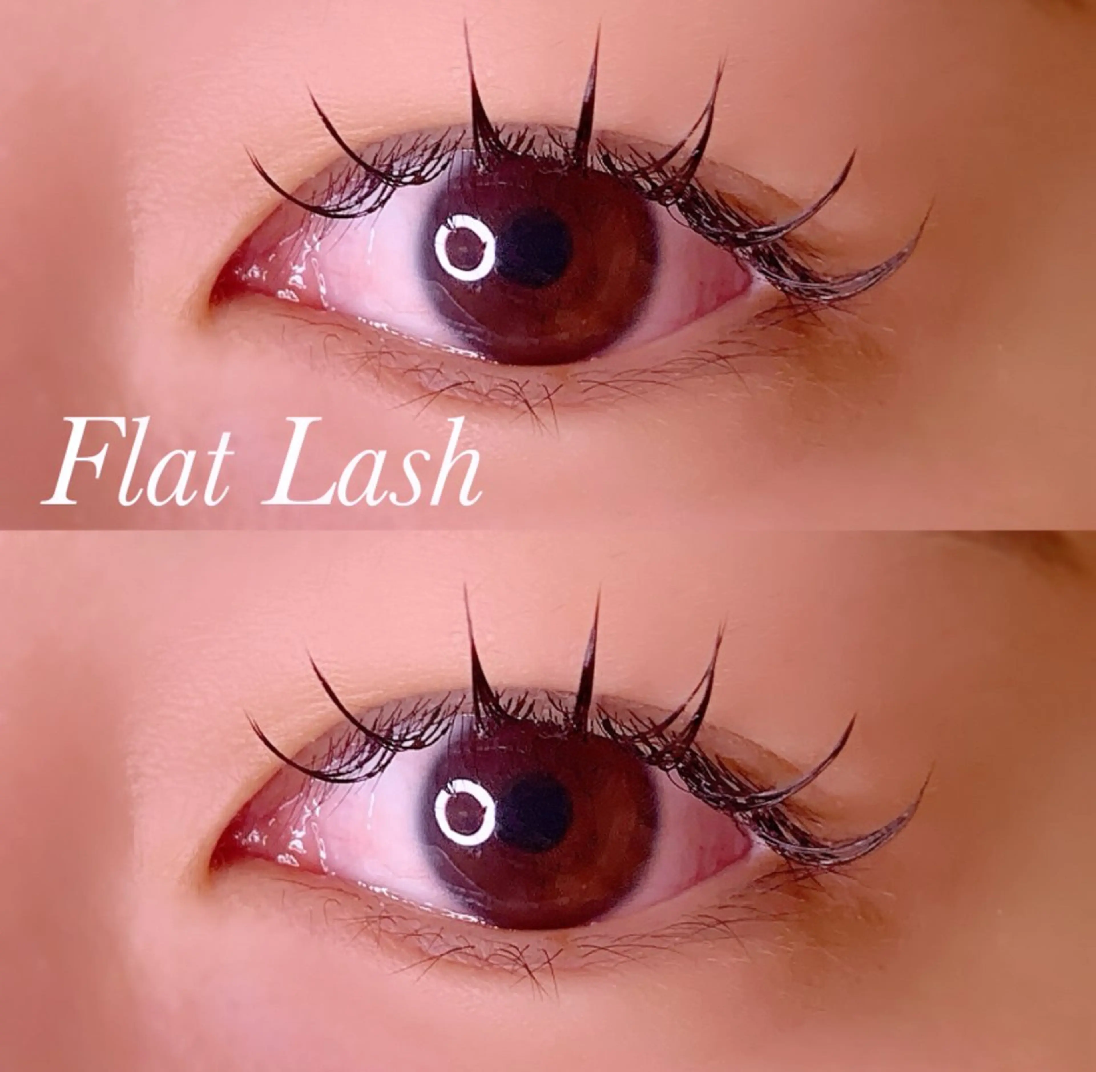 マツエク・マツパ Cカール フラットラッシュ マツエク Ayumi.pro 🍆N《4階》のマツエク・マツパデザイン