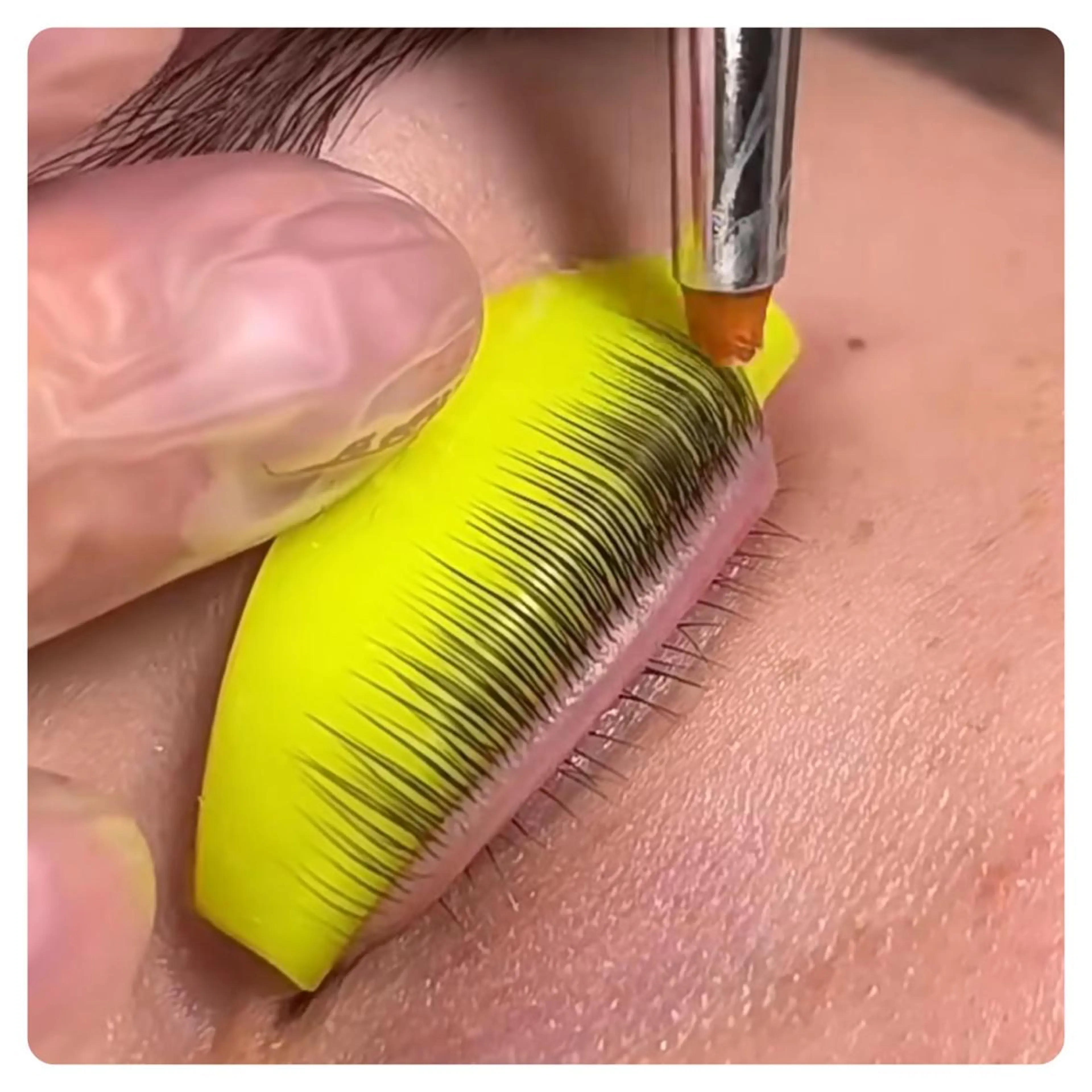 コロナ応援自まつ毛育毛サービス❣️大人気パリジェンヌ&次世帯まつげパーマ何度でも4980円の写真