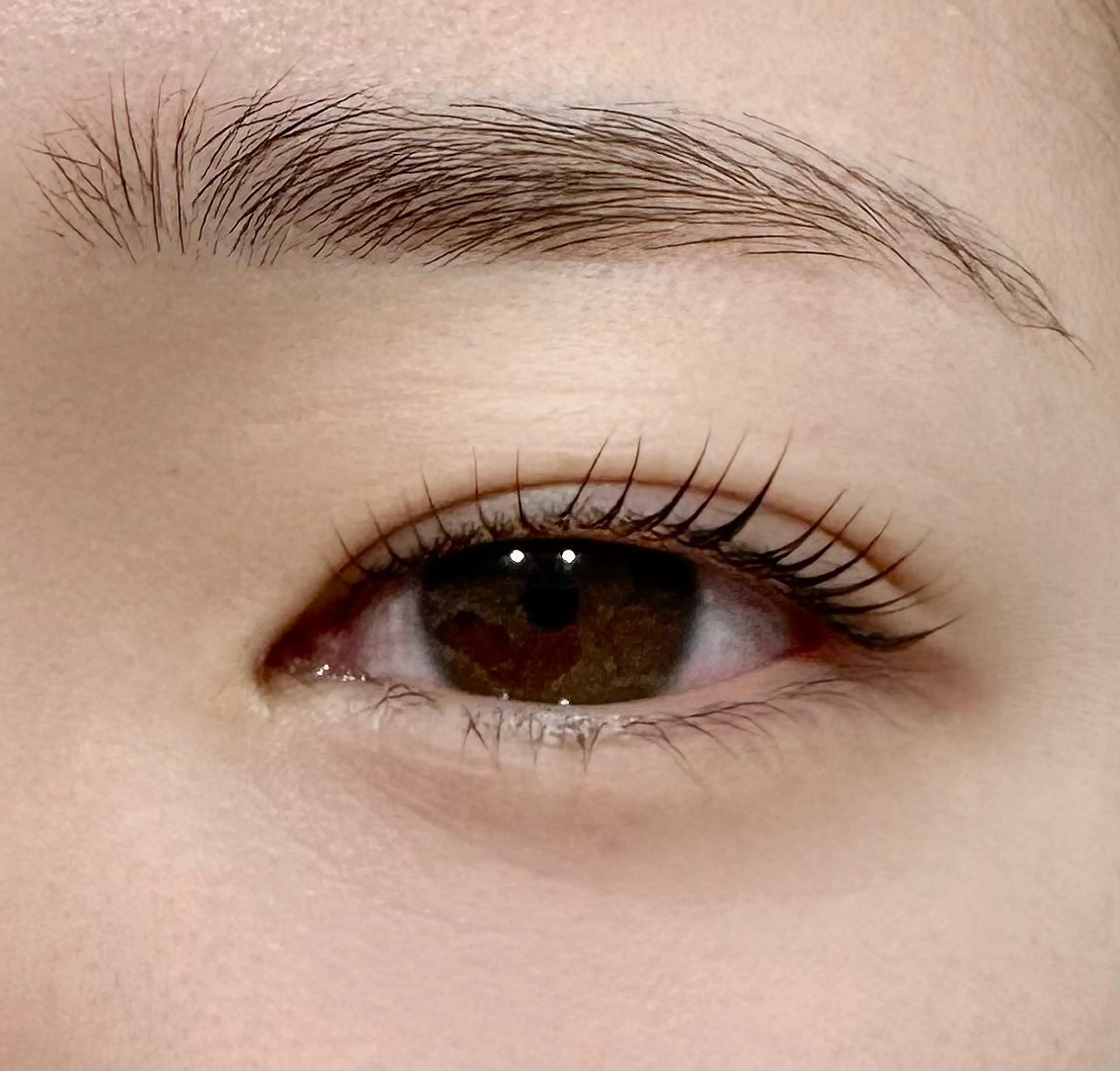 マツエク・マツパ ケラチンラッシュリフト HARIS miyazakiの眉毛・アイブロウイメージ