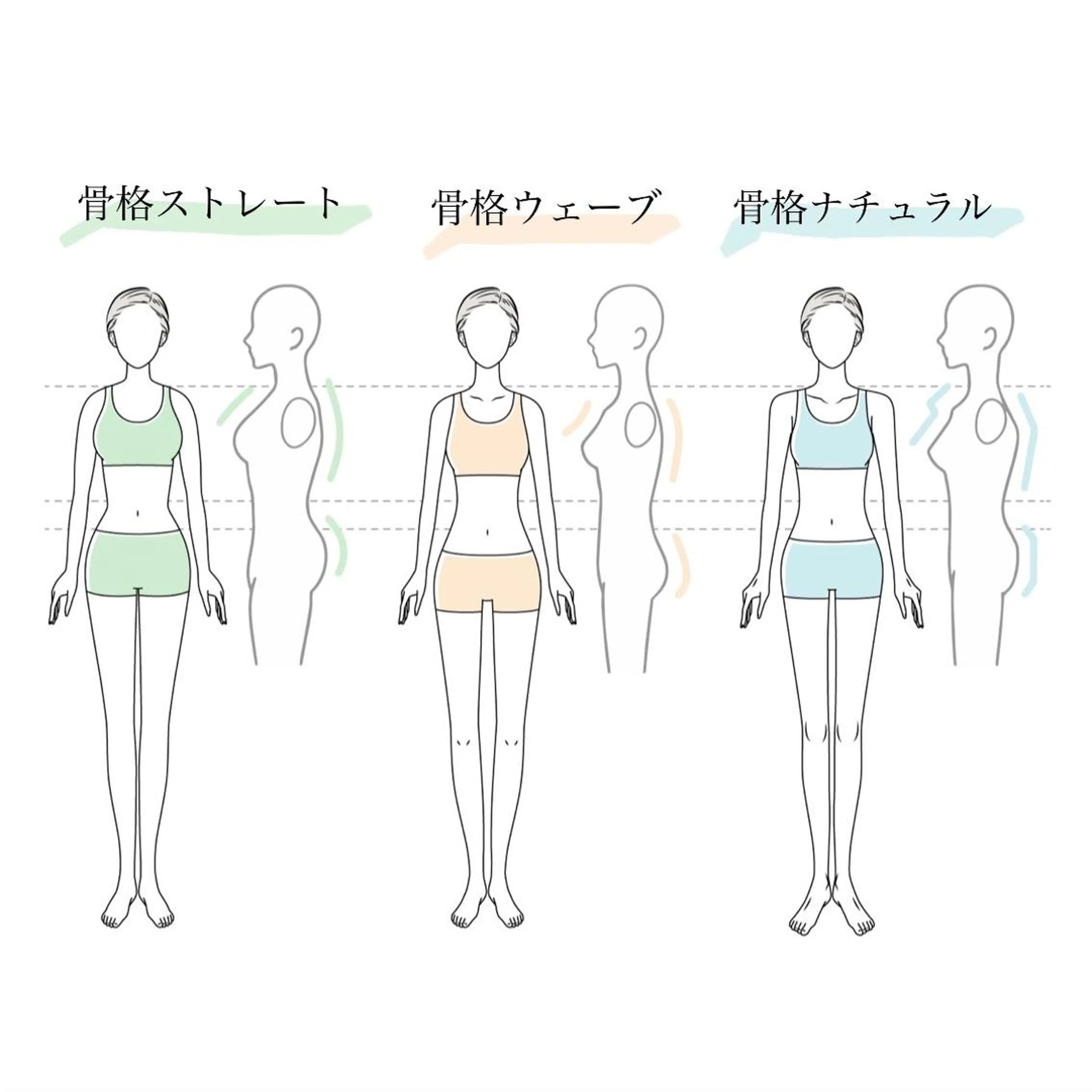 骨格診断士取得⭐︎【骨格診断】資料付きの写真