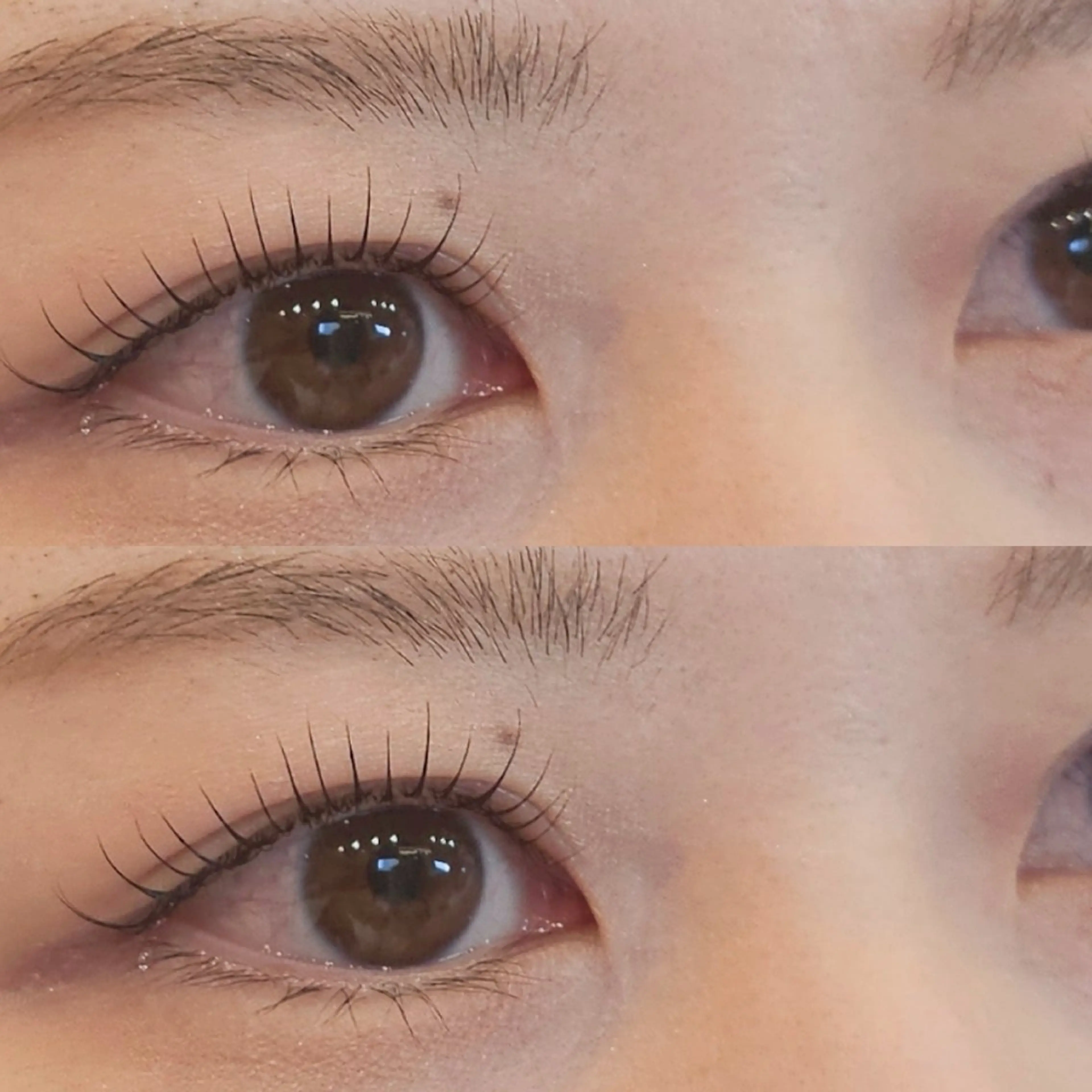 【期間限定☆】まつ毛補修パリジェンヌラッシュリフトの写真