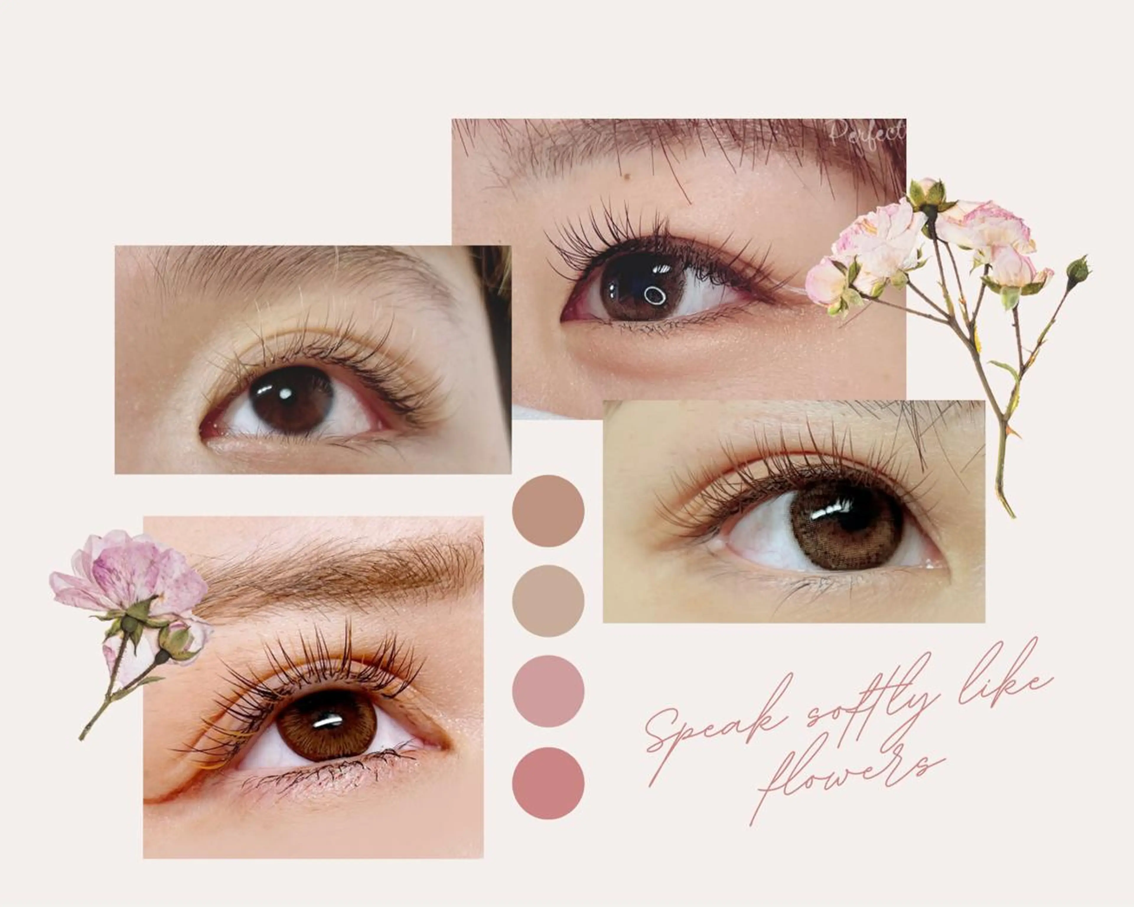 カラー マツエク・マツパ ブラウンカラー オレンジ カラーマツエク マツエク パーフェクトウィンク ちぢいわみのりのマツエク・マツパデザイン