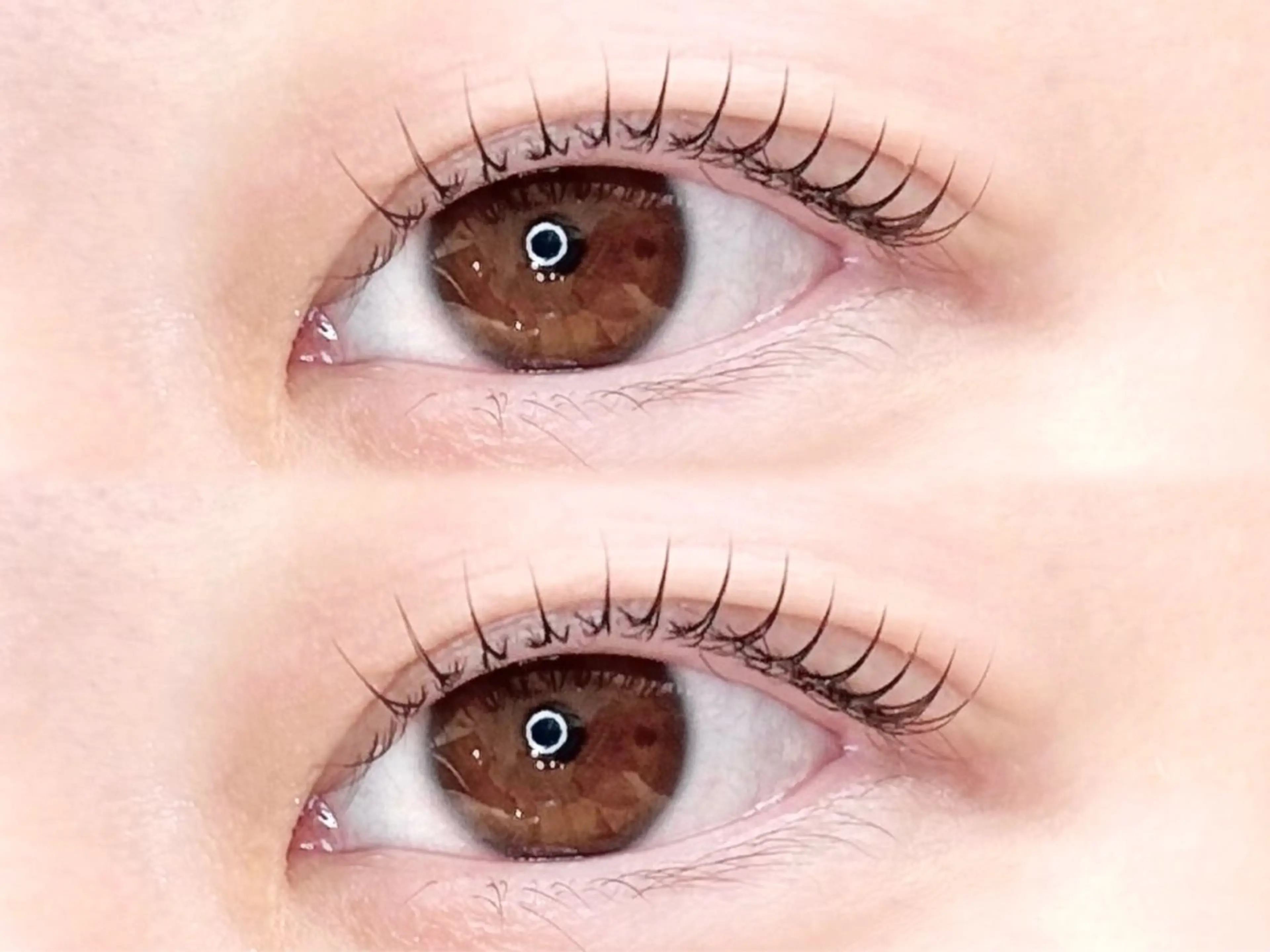 マツエク・マツパ 🎀ココシャル🎀 Ann。のマツエク・マツパデザイン