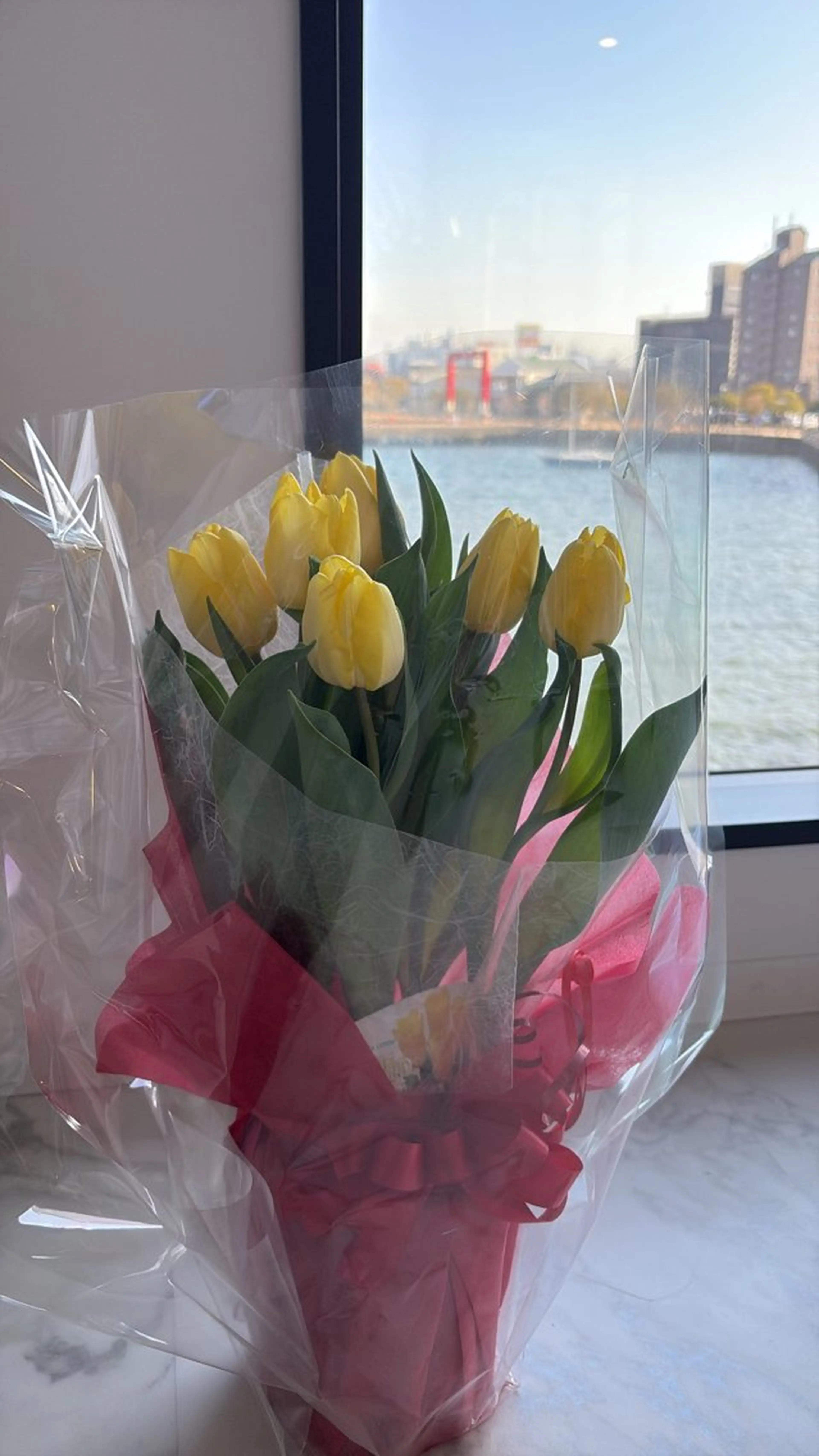 Private Salon S.Nail所属・S.Nail 𓂃٭のネイルデザイン