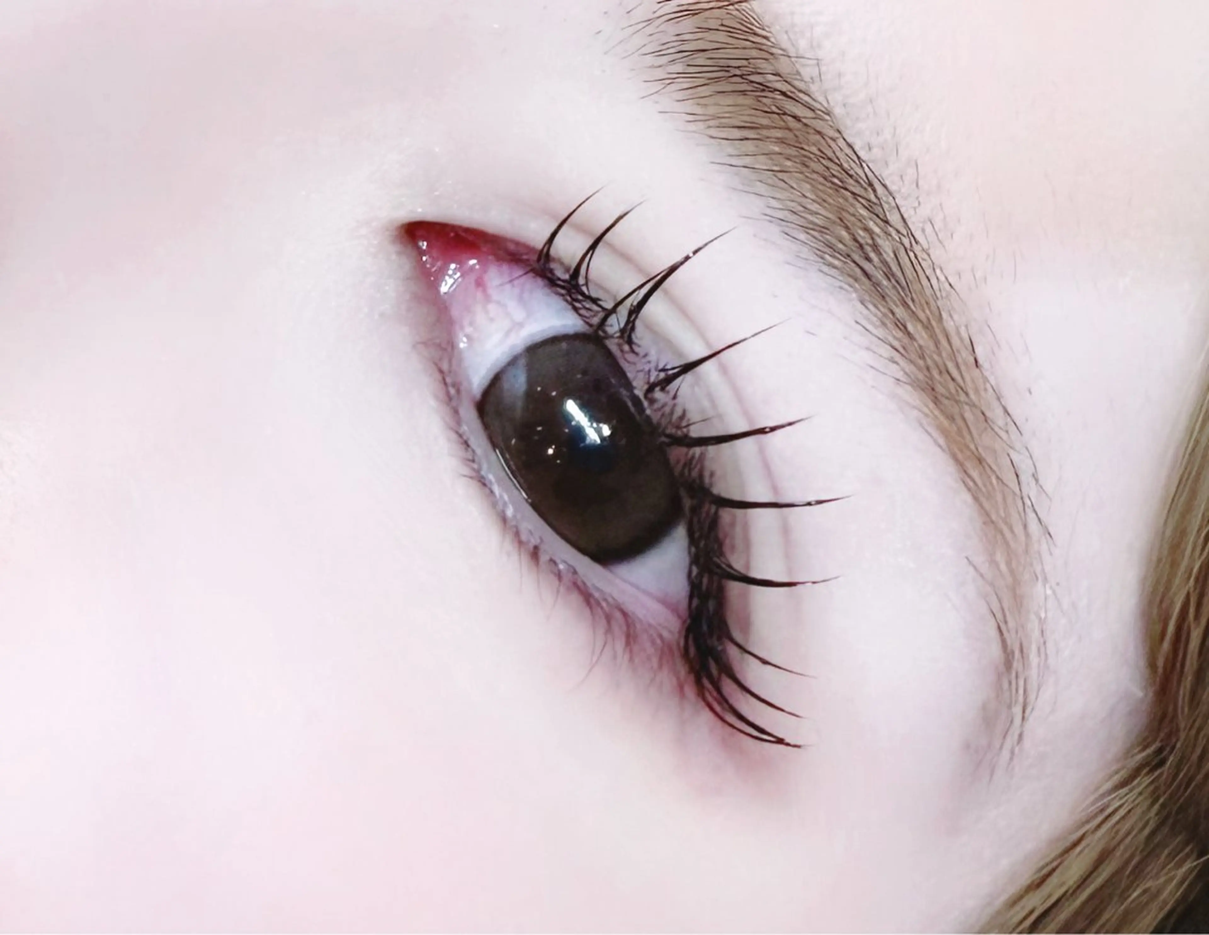 フラットラッシュ100本 (新規オフ無料)の写真