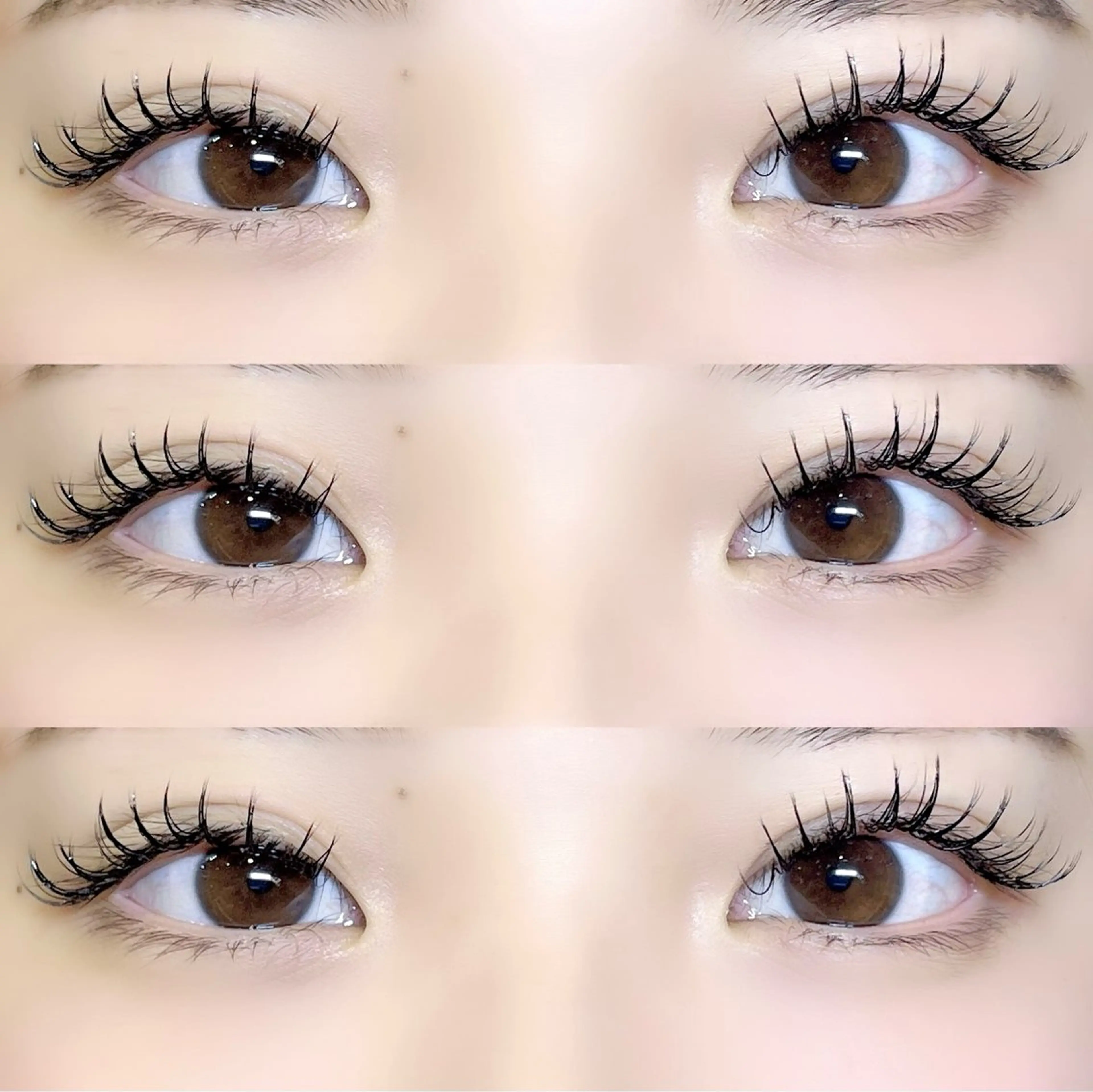 ［🌿ミンクorセーブル 100本 🌿］＋仕上げコーティング付き✨初回オフ無料🫧の写真