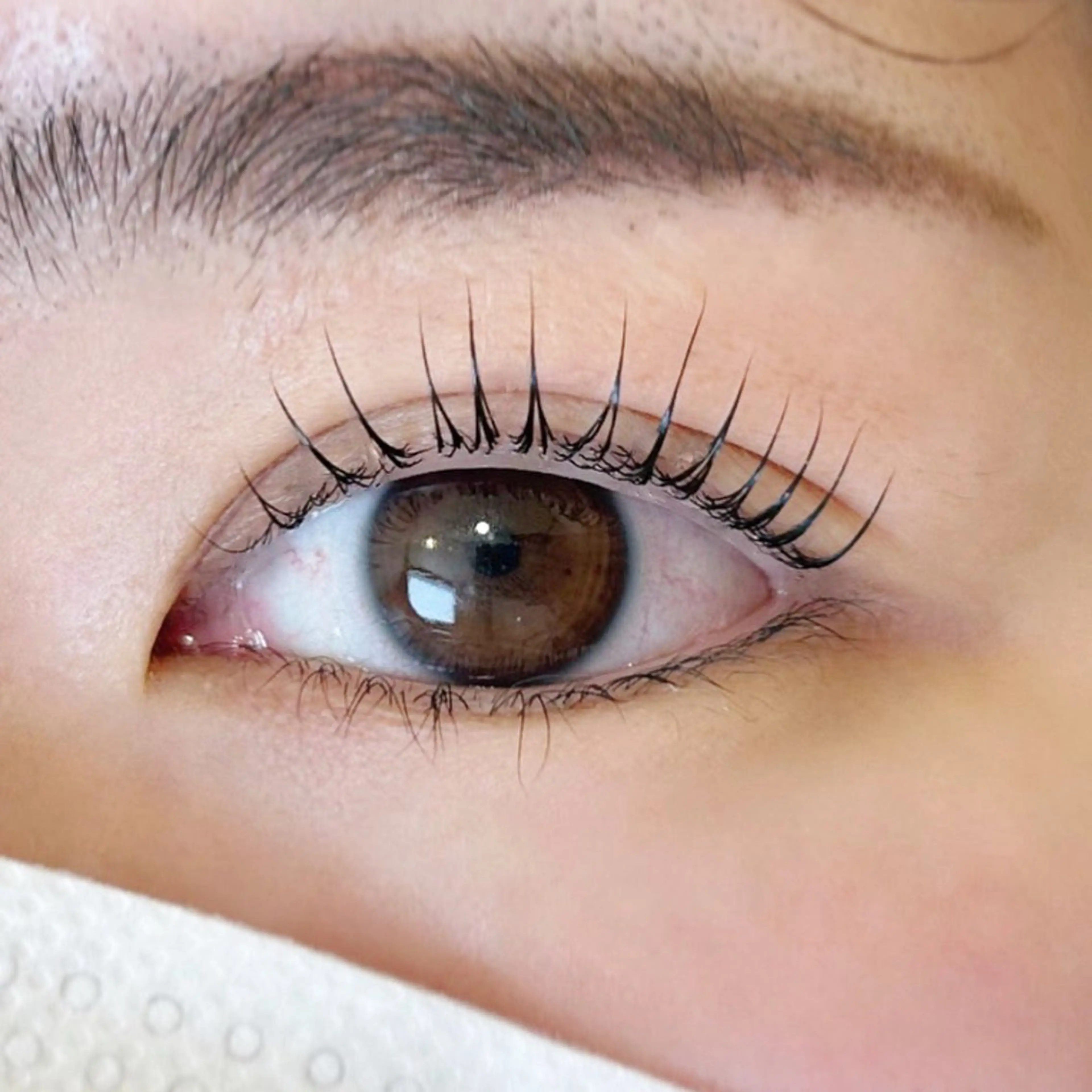 マツエク・マツパ マツパ tie.所属・tie. 辻井のマツエク・マツパデザイン