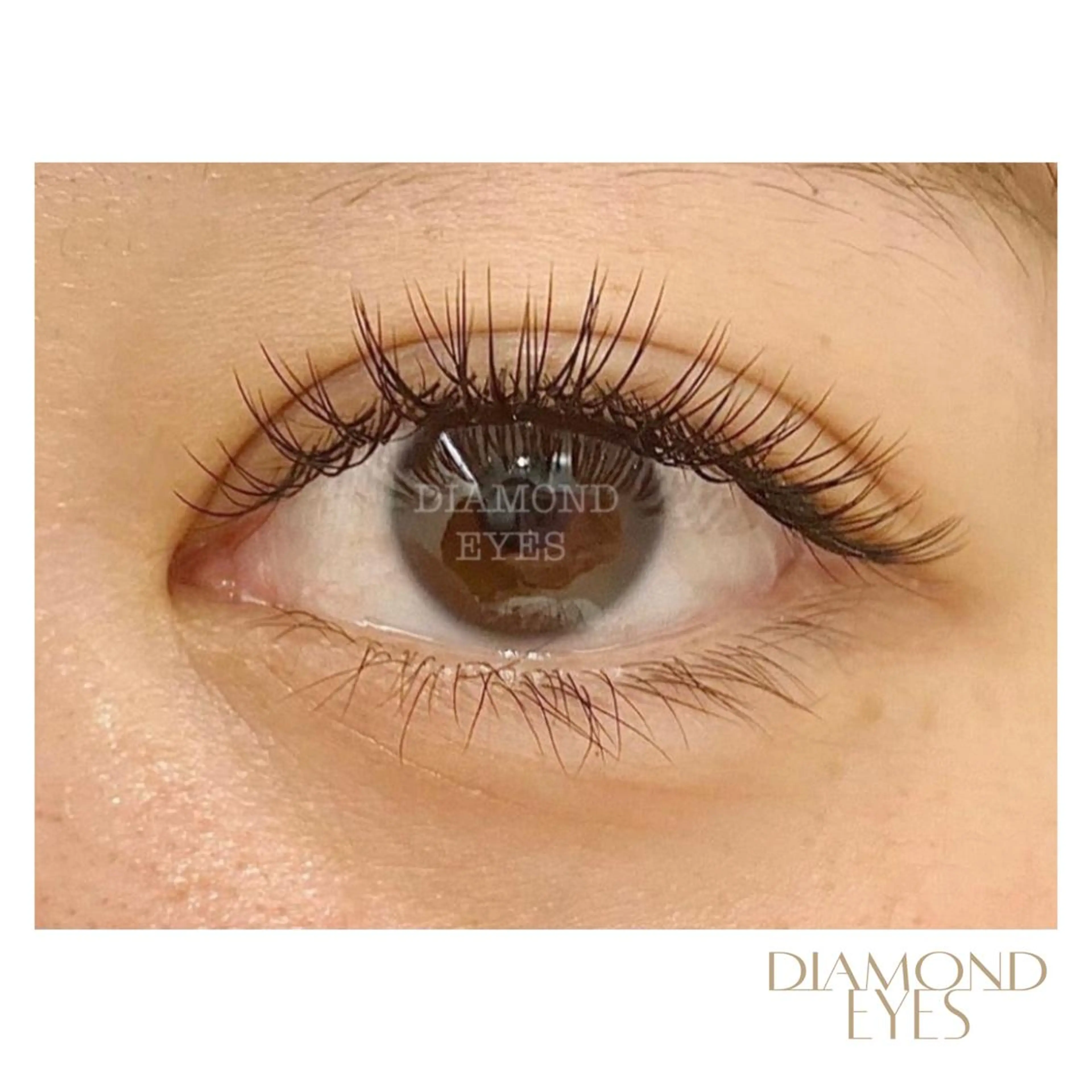 マツエク・マツパ ニイナ🌼 まつパ/束感まつげのマツエク・マツパデザイン