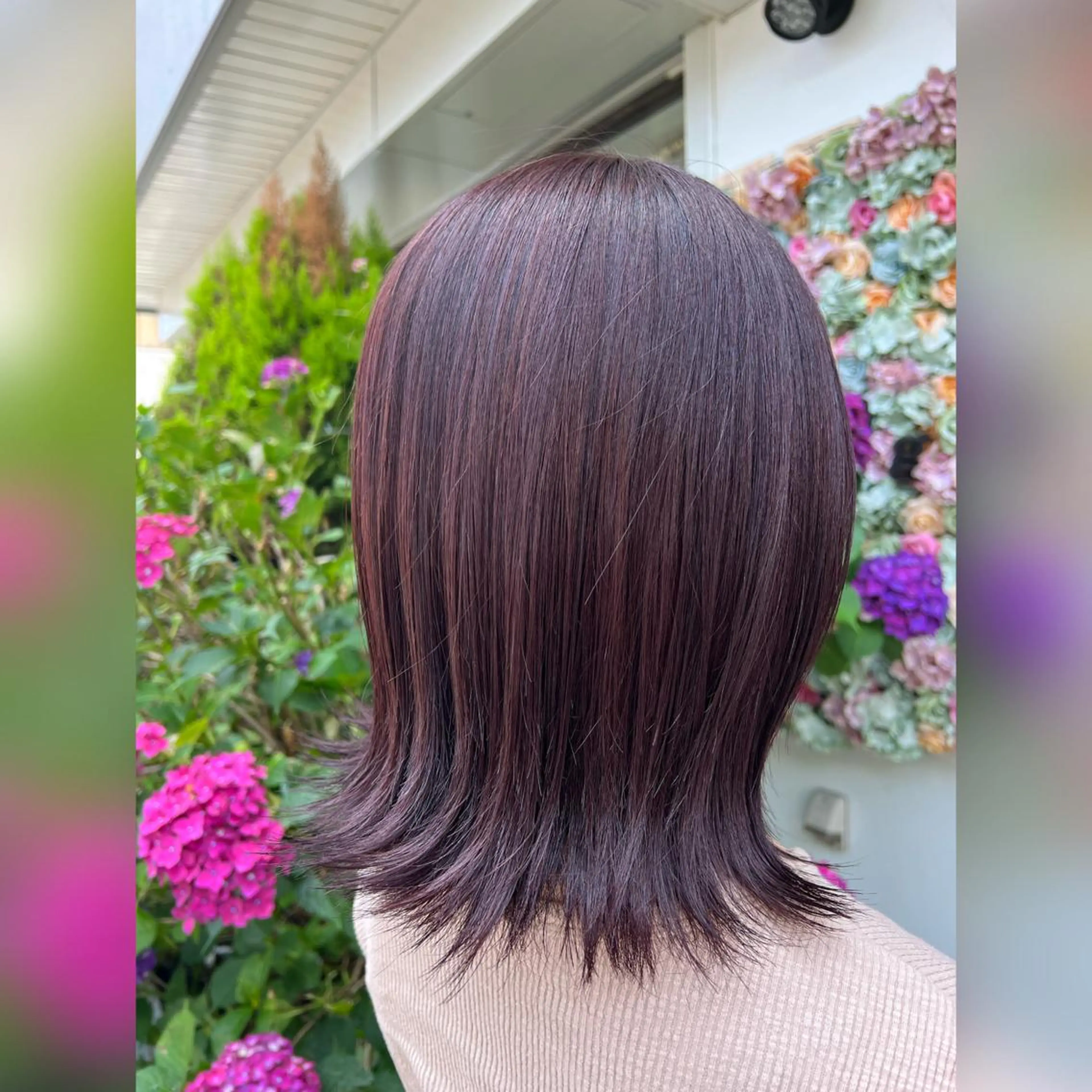 カラー ラベンダーカラー 🐾 かとう 🐾のヘアスタイル