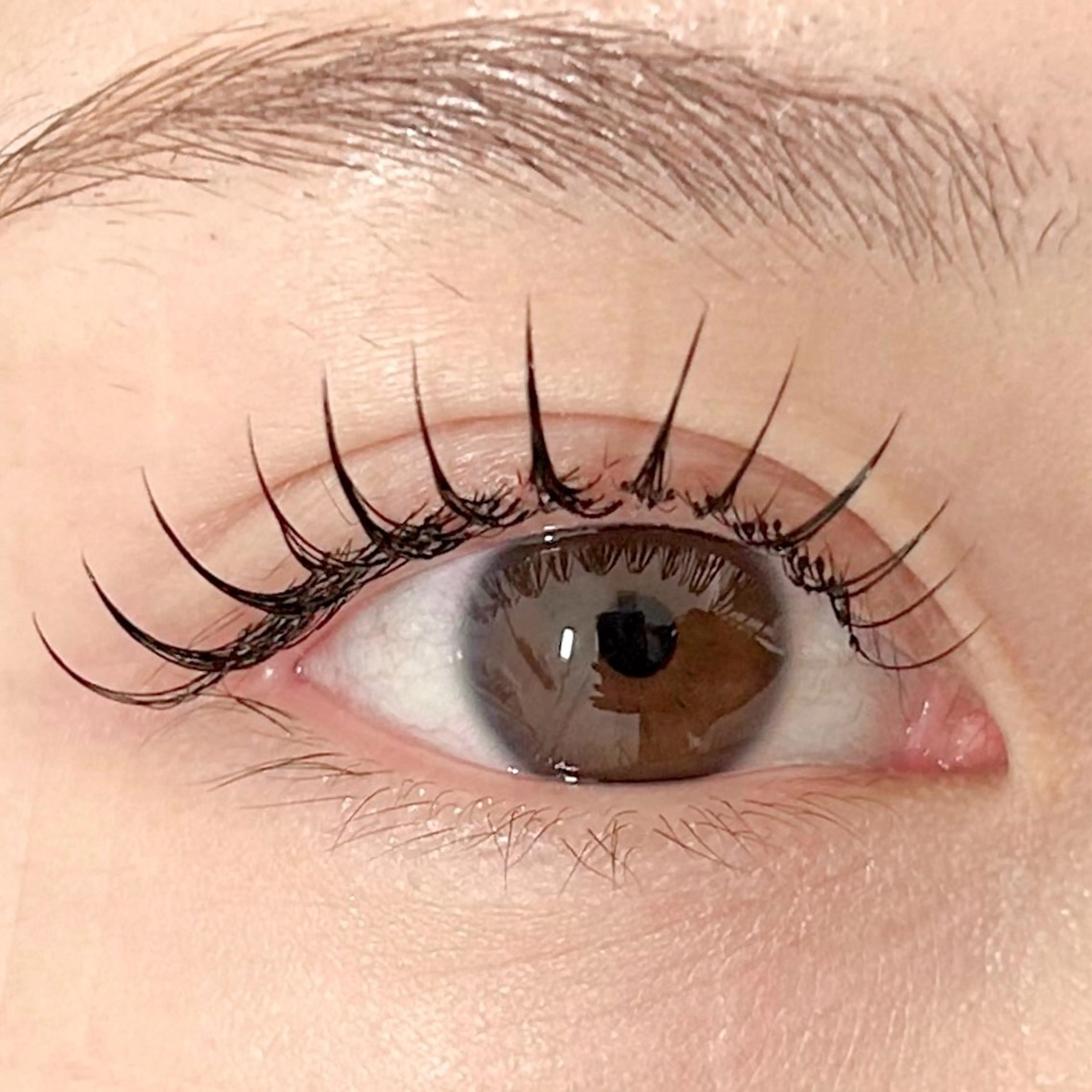 🌻✨LEDエクステ100本まで✨🌻¥7000 ※オフあり+15分の写真