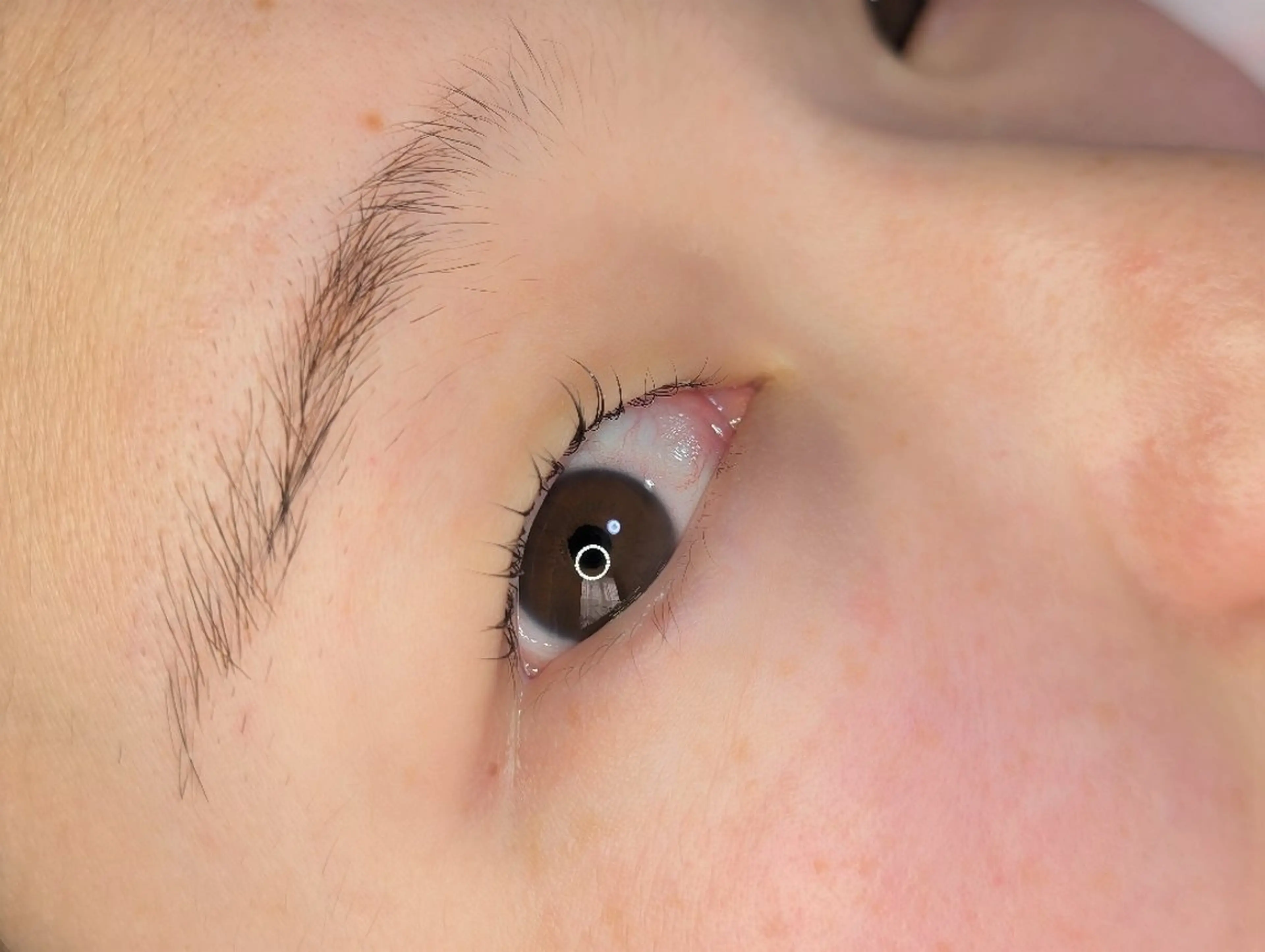 マツエク・マツパ マツパ EYELASH lino　合志市のマツエク・マツパデザイン