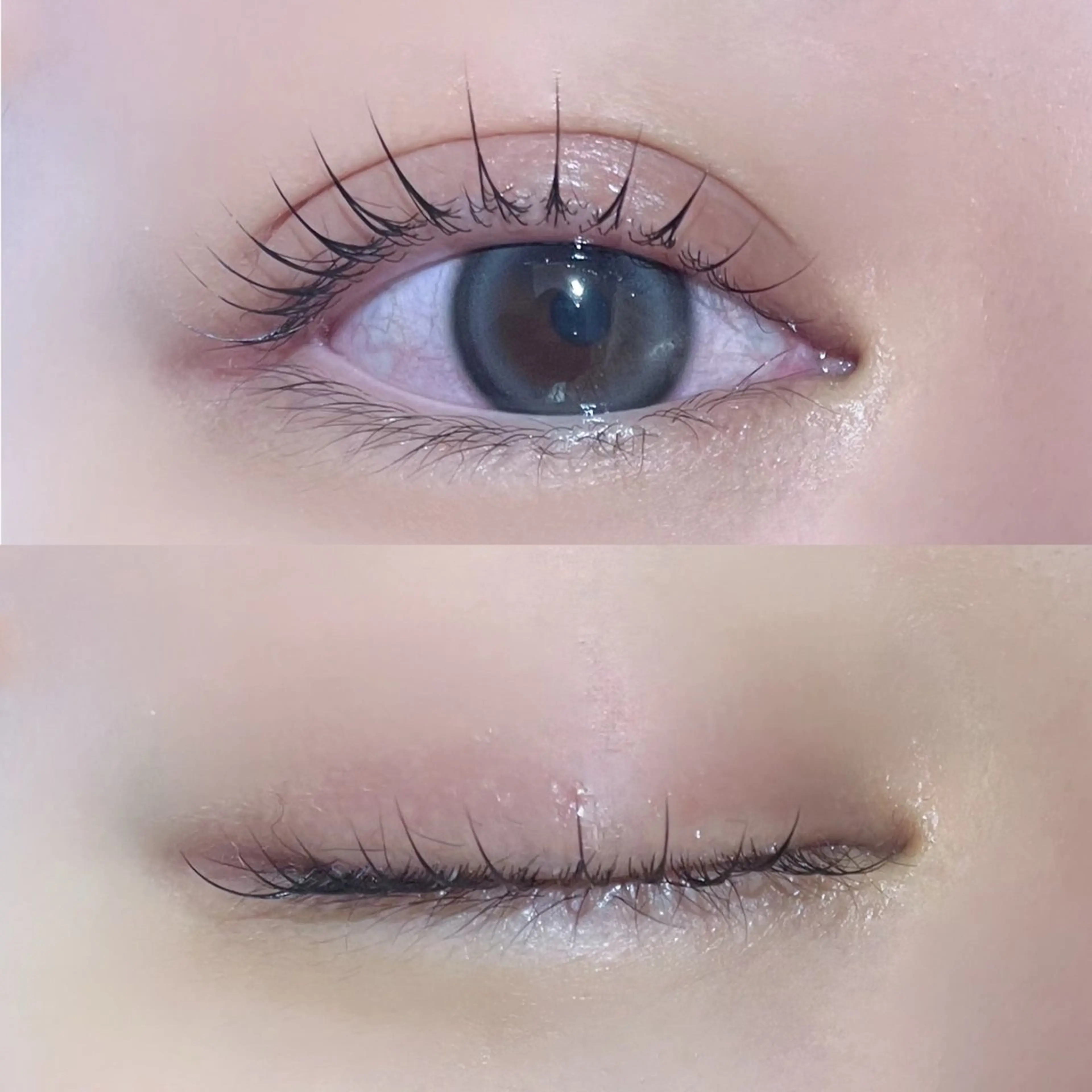 《1番人気》 韓国カール🦋ピーナッツロッド使用『まつ毛パーマ』※美容液付の写真