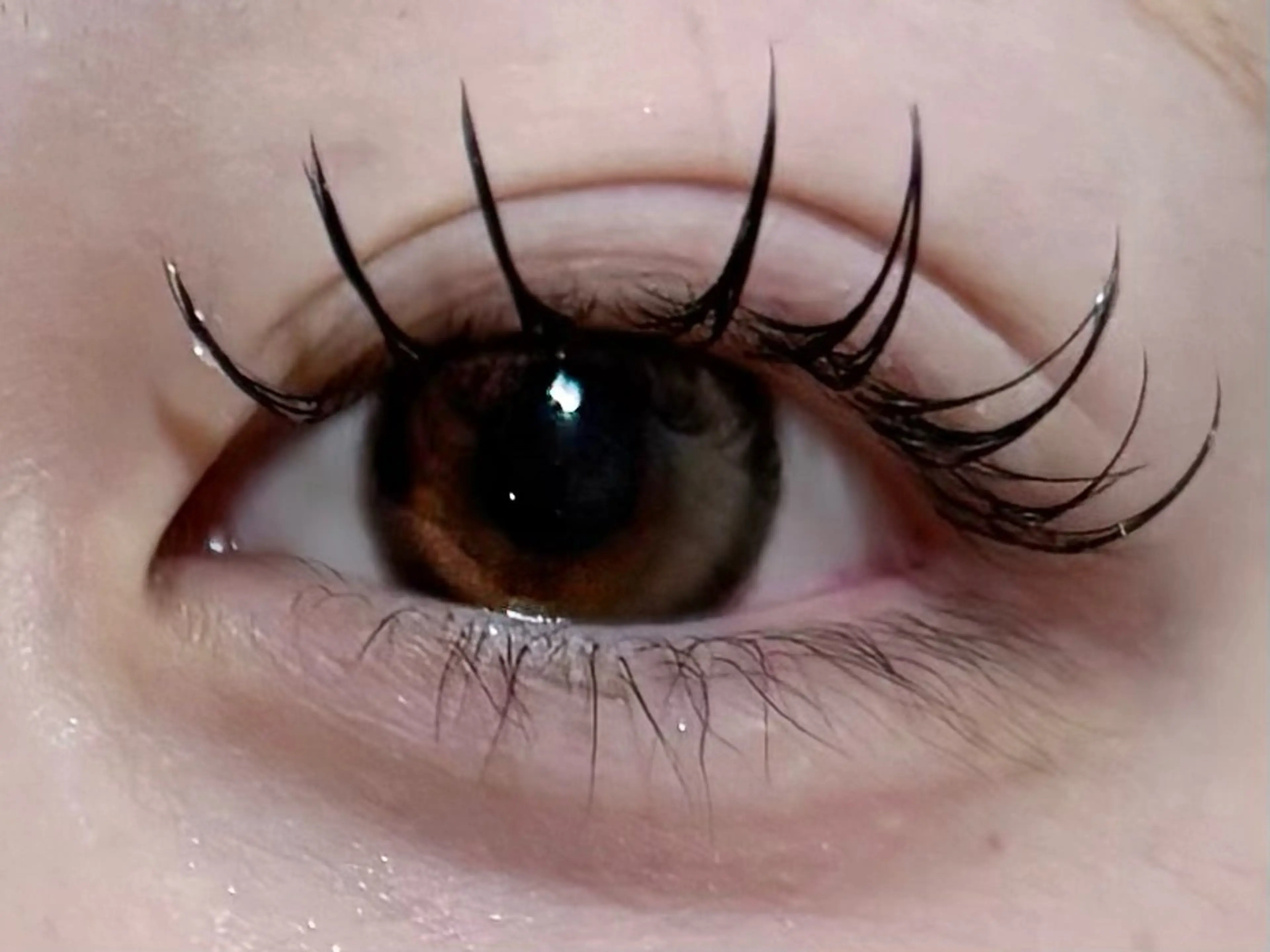 マツエク・マツパ サンクリュクス名駅店所属・CINQLUXE 高橋のマツエク・マツパデザイン