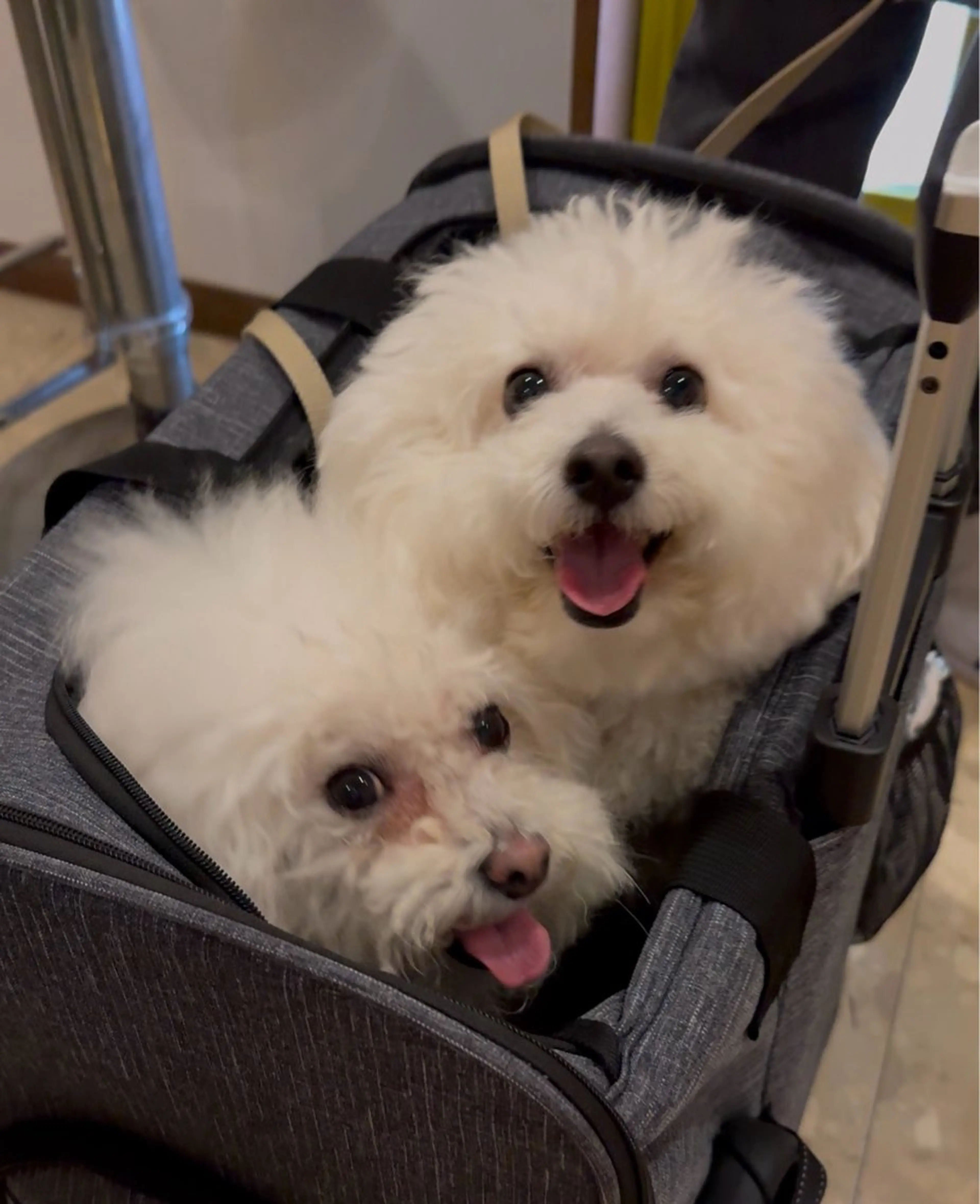 松本 昌也のエステ・リラクイメージ