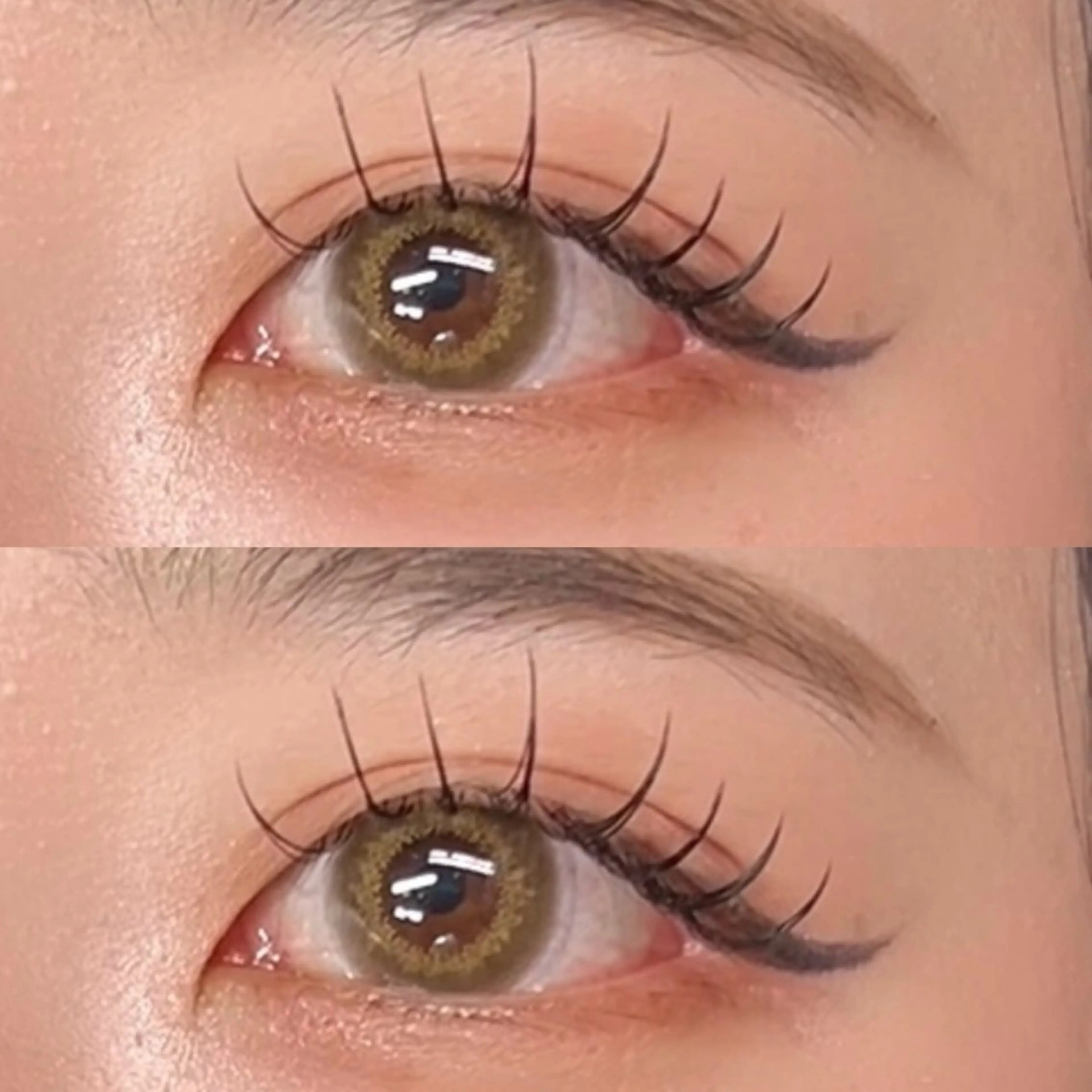 🍳オフなし下まつげエクステ🐔40本「メッセージでやり取りできる方優先🎈」の写真