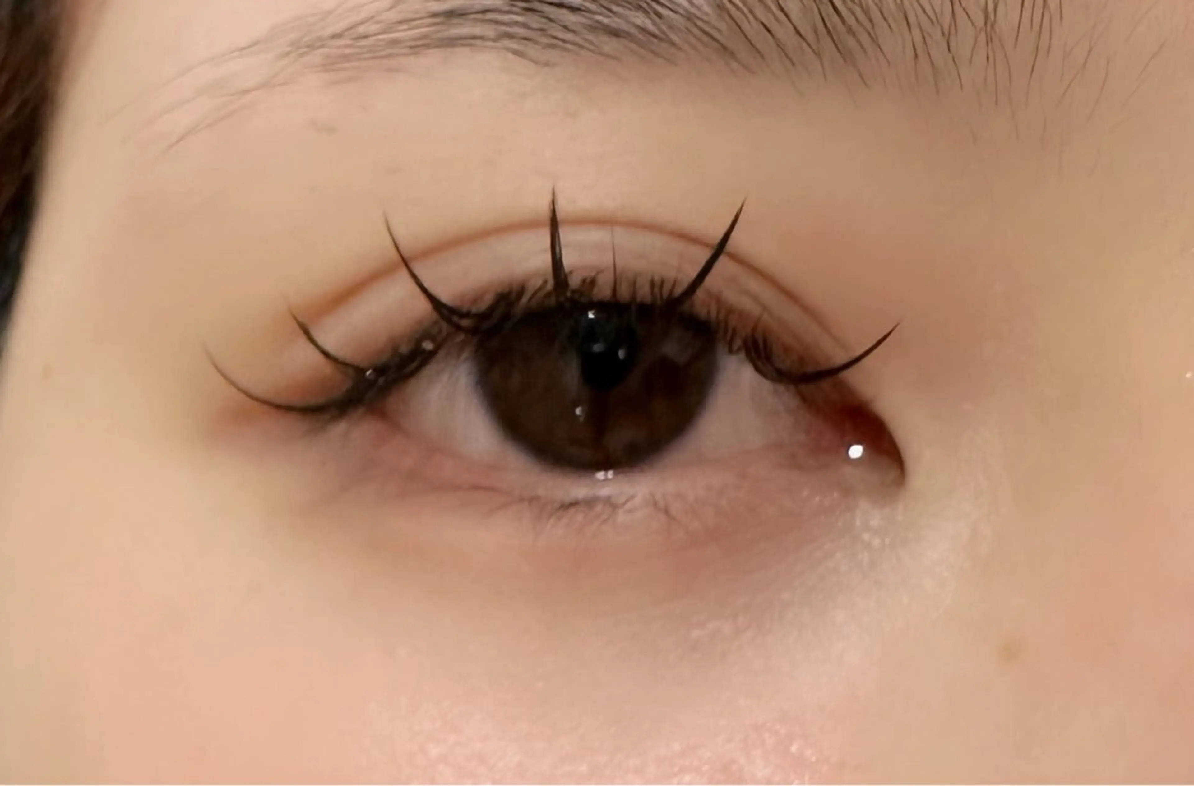 マツエク・マツパ 束感まつ毛 フラットラッシュ マツエク eight misaki🦋のその他イメージ