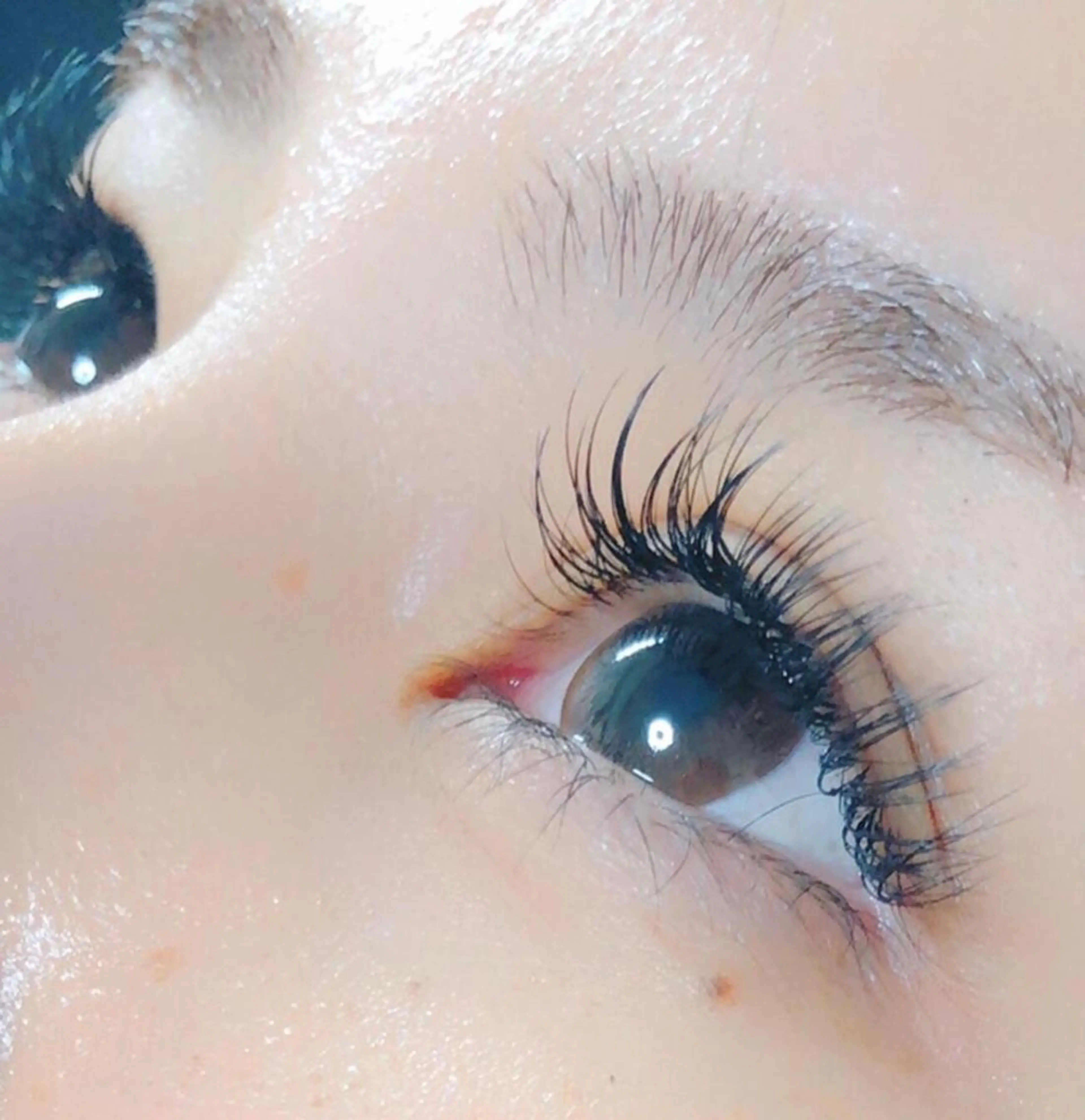 【ナチュラル🍃】最高級フラットラッシュ100本の写真