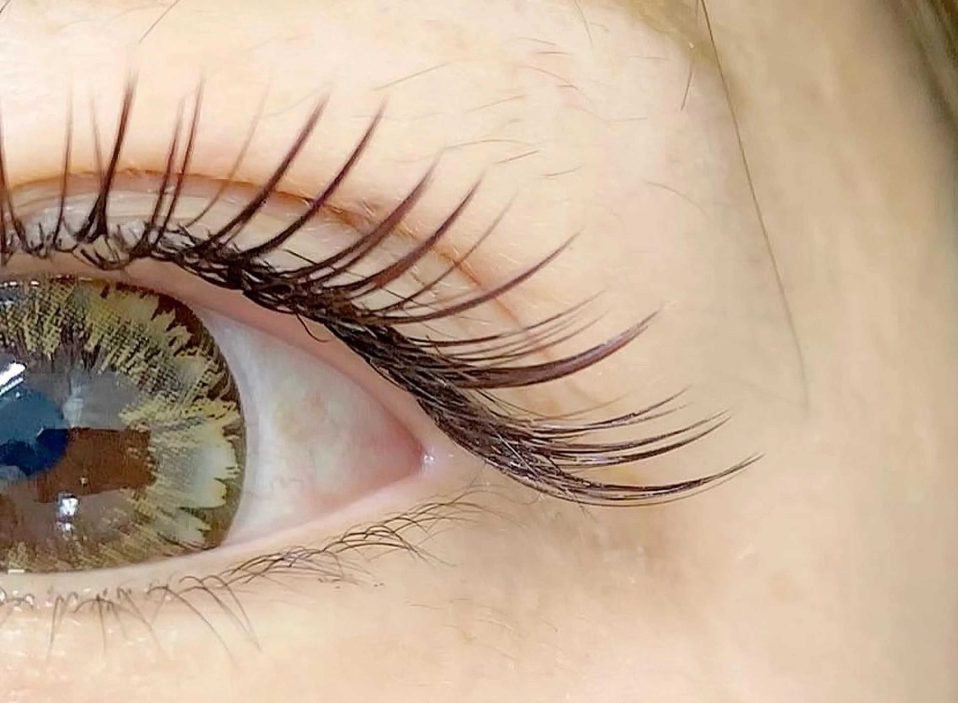 マツエク・マツパ LAND【ランド】 小鹿のマツエク・マツパデザイン