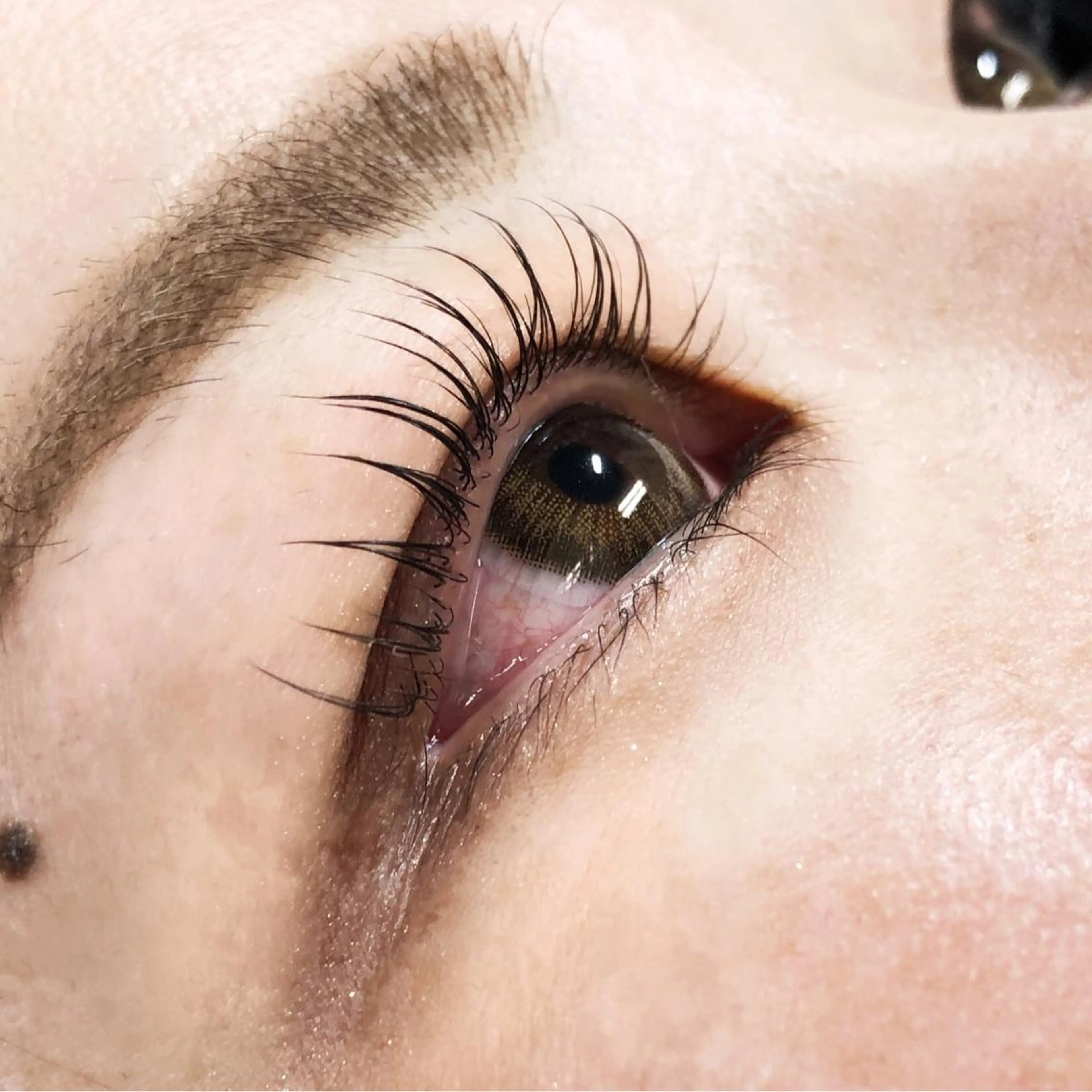 【ミニモ特別価格¥5700→¥3700】まつげパーマ🧚🏻‍♀️🌟の写真