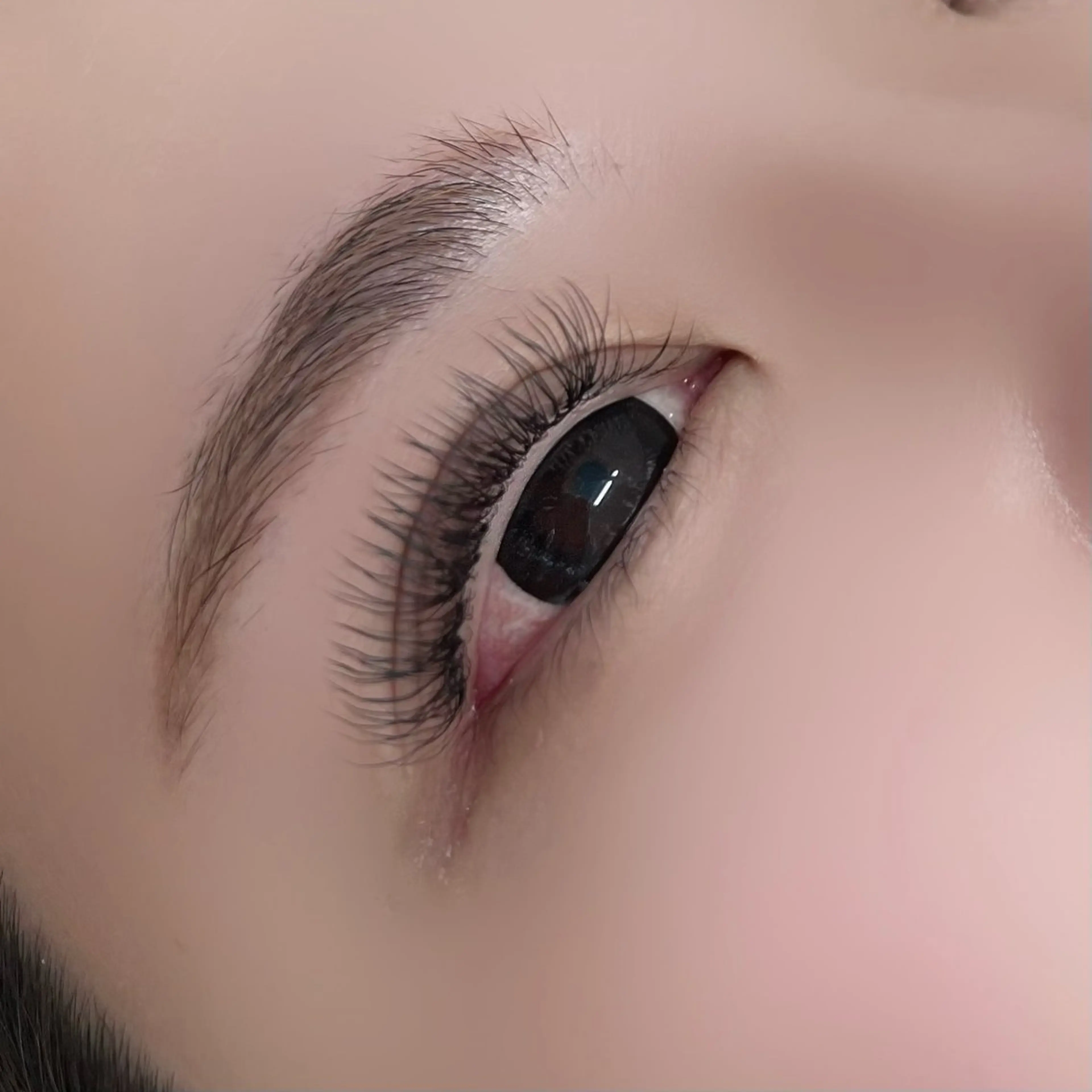 マツエク・マツパ フラットラッシュ Atelier AIHA所属・Atelier AIHA 京橋店のマツエク・マツパデザイン