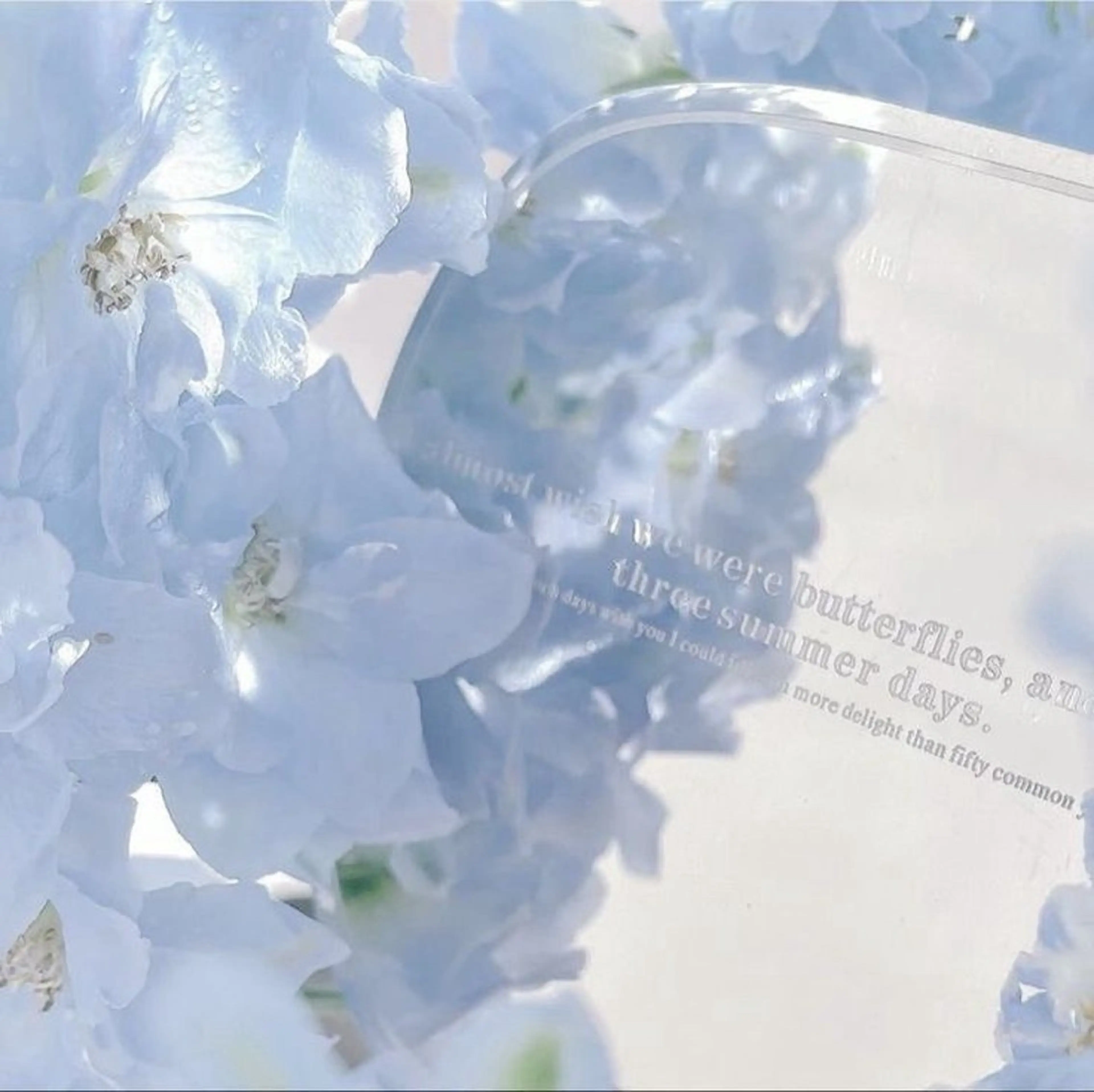 Bianca 銀座 Hinanoのネイルデザイン