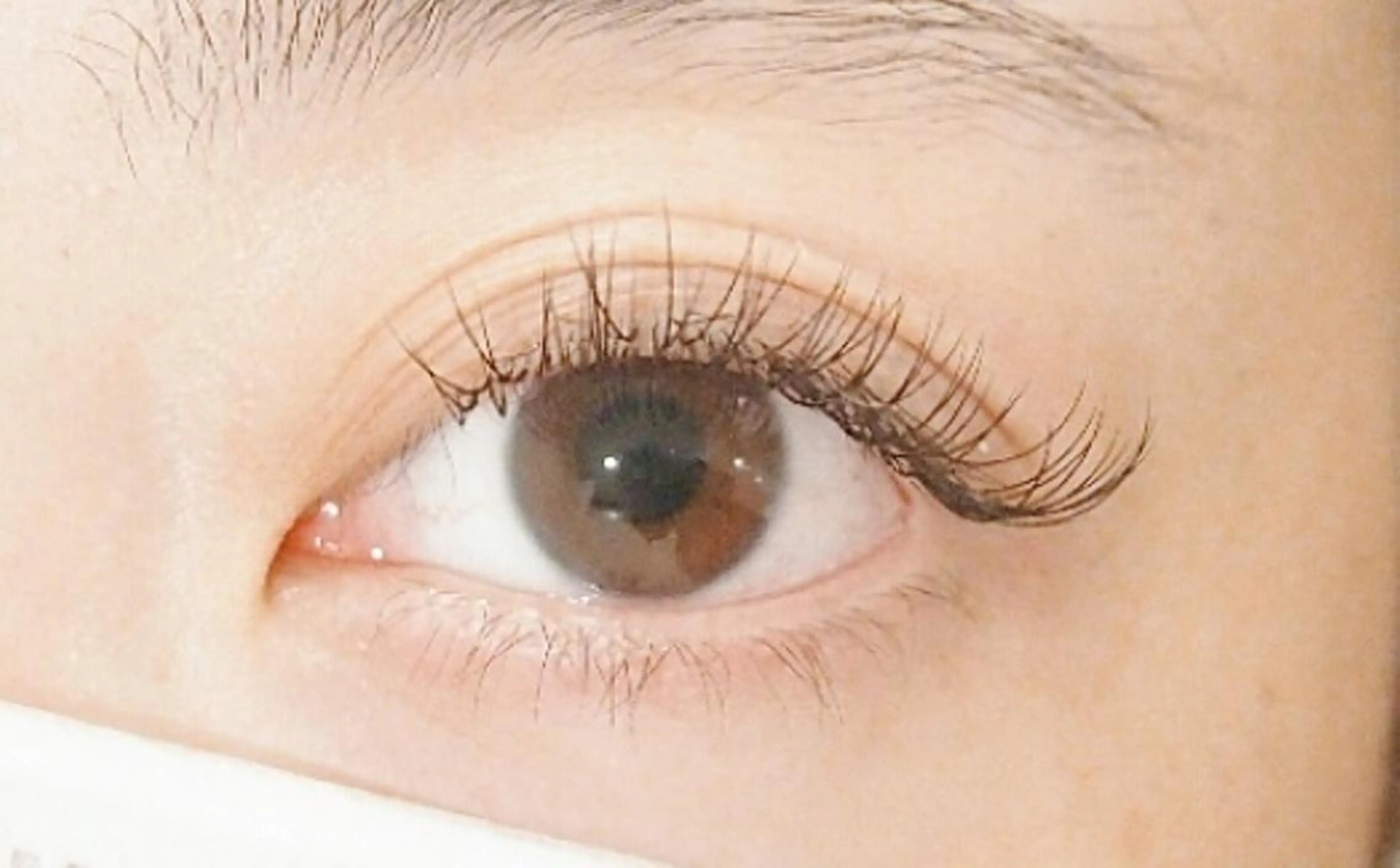 マツエク・マツパ ナチュラル セーブル 💜bora .のネイルデザイン