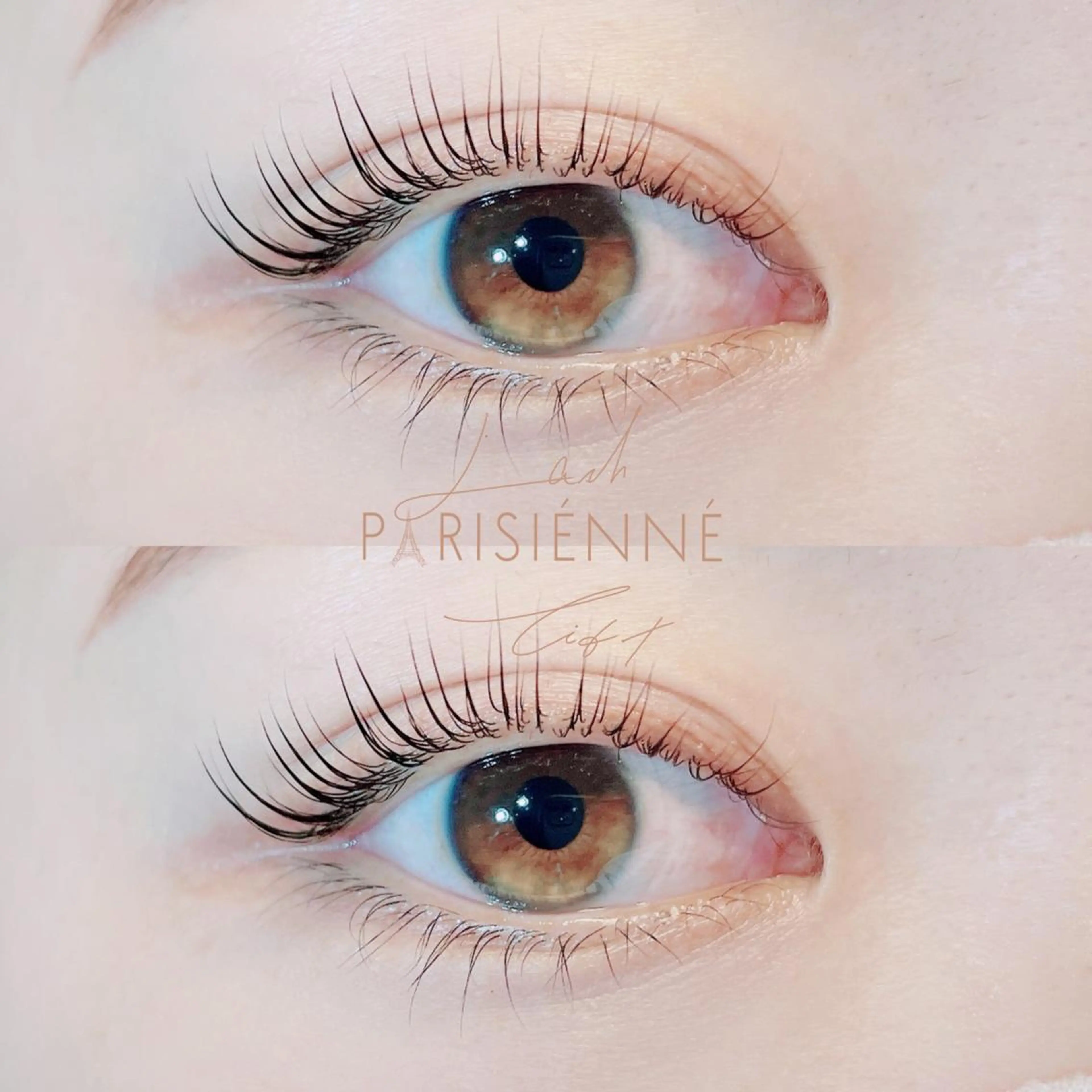 パリジェンヌラッシュリフト✨コーティング仕上げ✨の写真