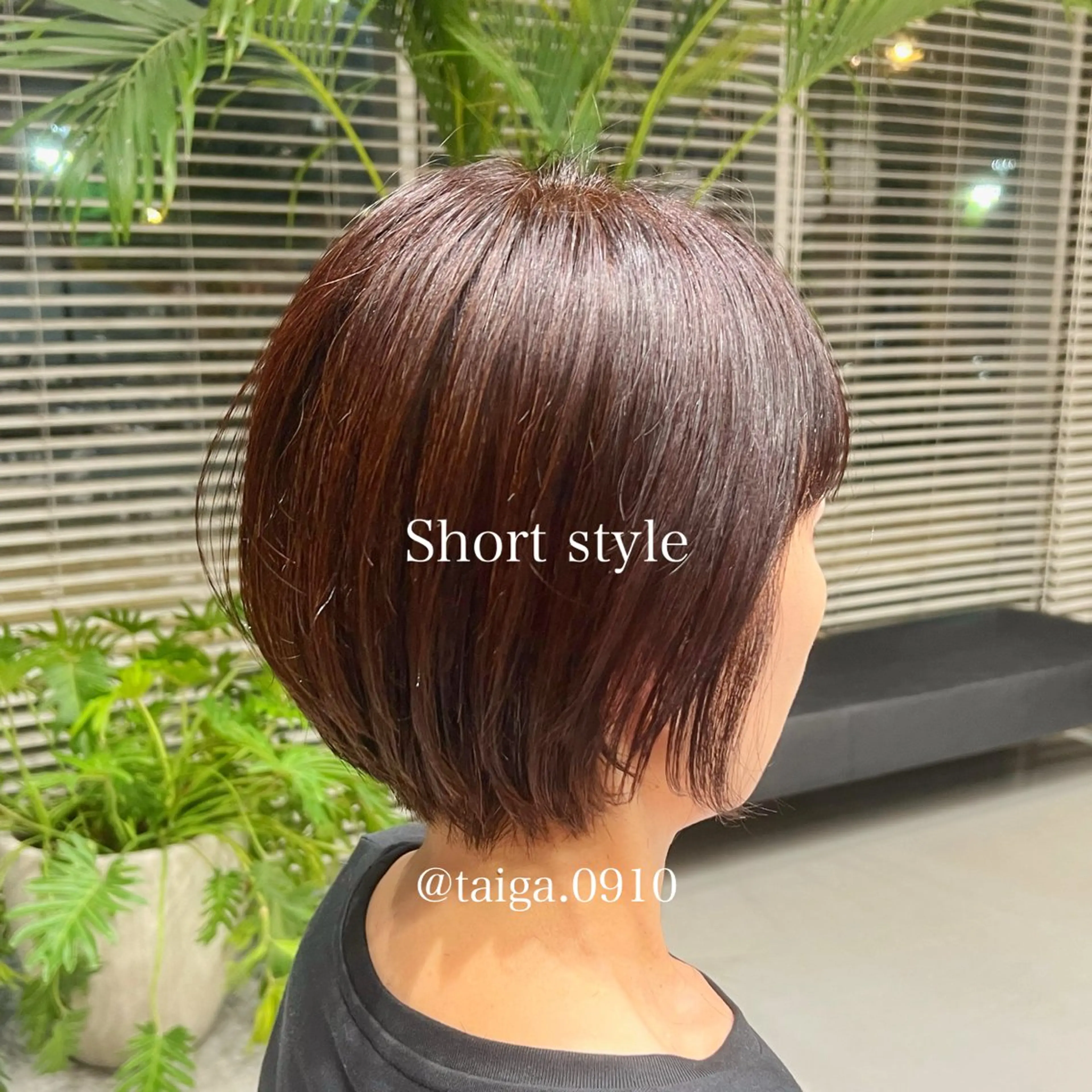 ショート レディースヘア💫 加藤たいが🐯のヘアスタイル