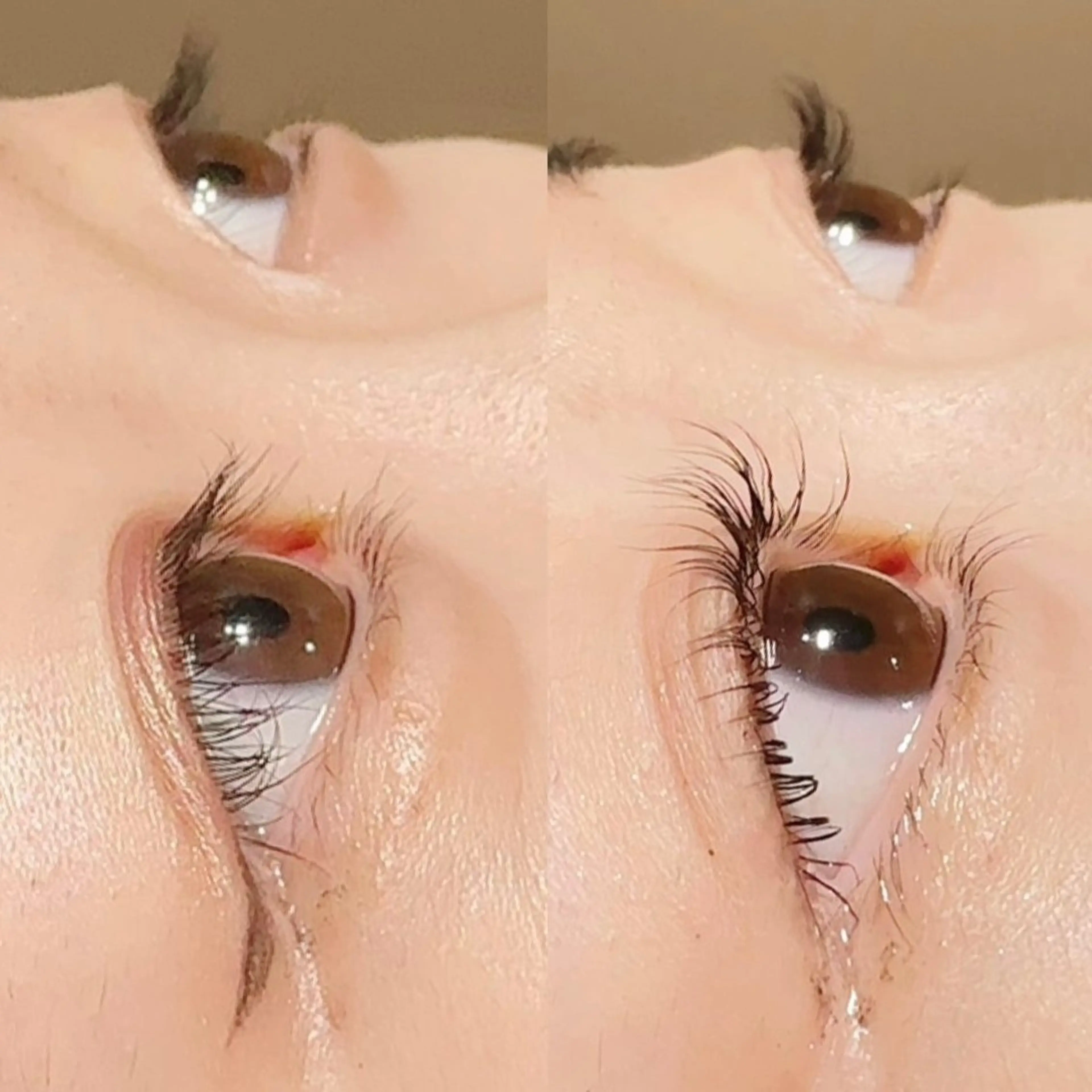 【パリジェンヌ】ラッシュリフト(上まつ毛)空き沢山あるので日にち、時間はお問い合わせお願いしますの写真