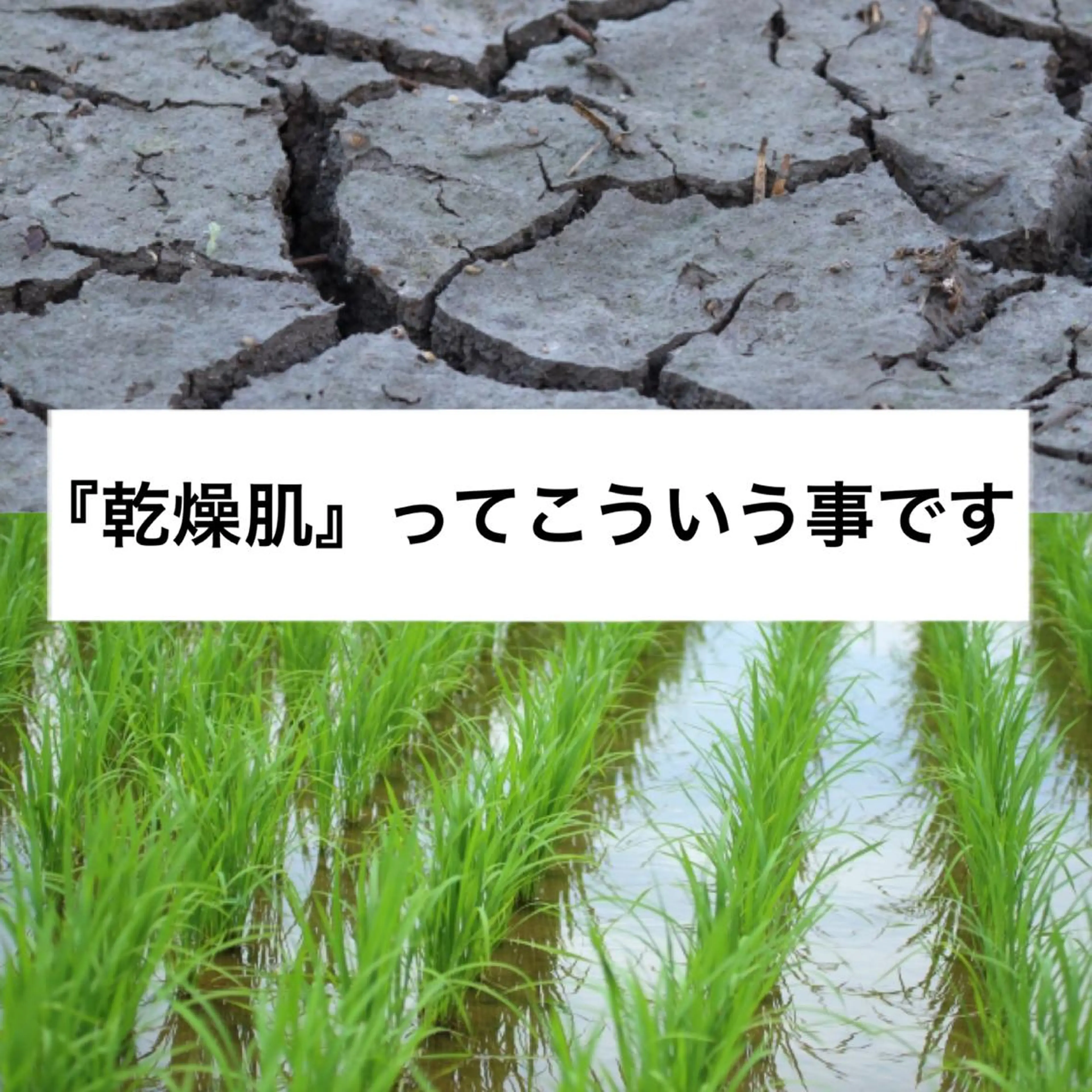 都度払い肌質改善 &脱毛Blancheのエステ・リラクイメージ