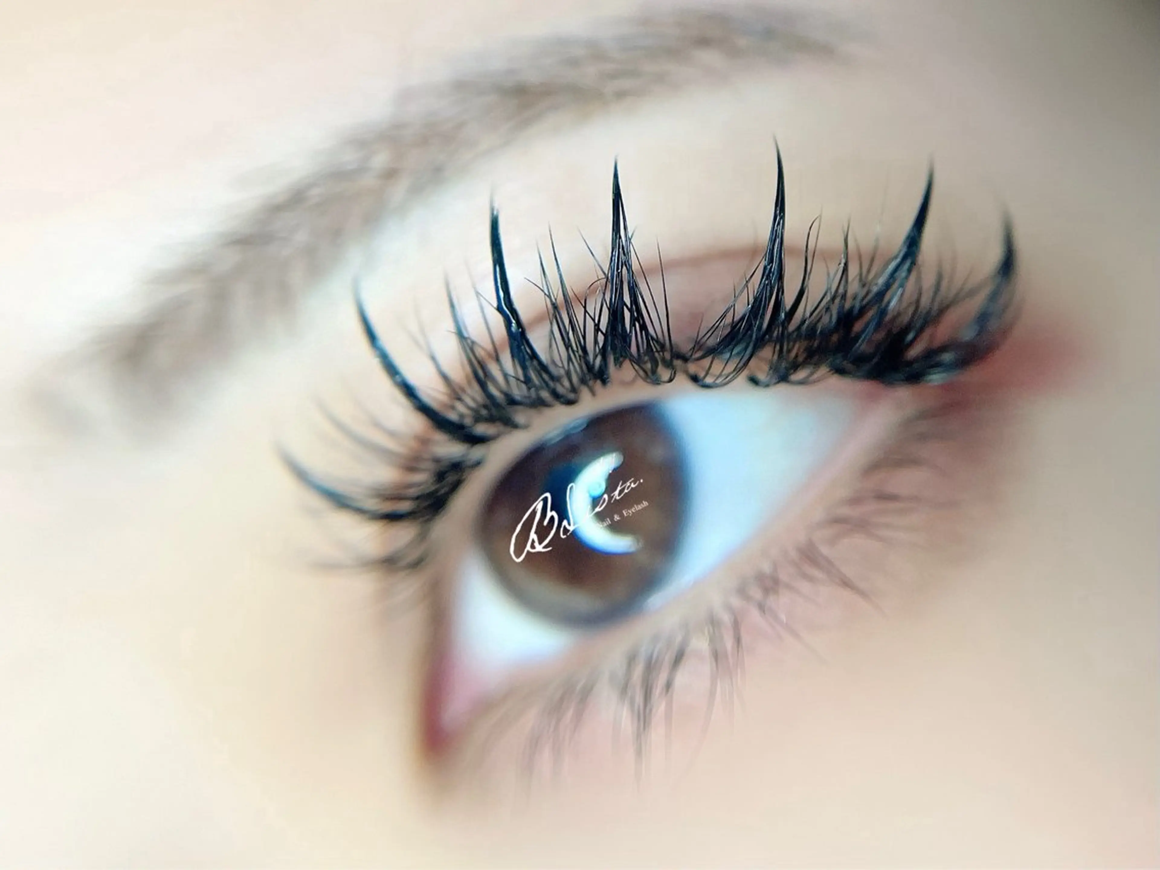 【6周年記念限定！！】SNSで話題！ボリューム-ワンホン-デザインマツエクの写真