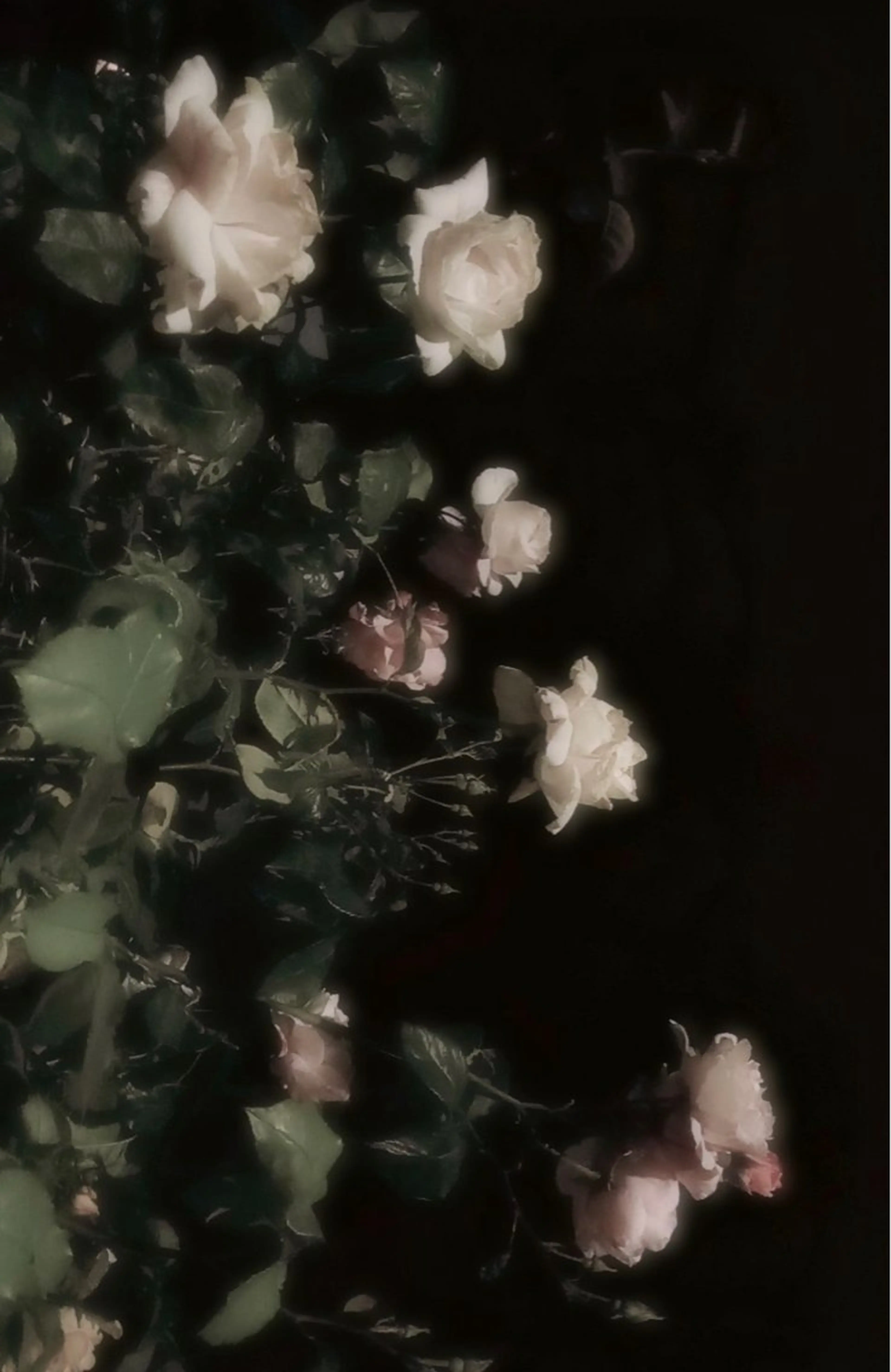 トリートメント ヘッドスパ ヘアセット 🖤:抜け感×大人 透明感カラー/Aoiのヘアスタイル