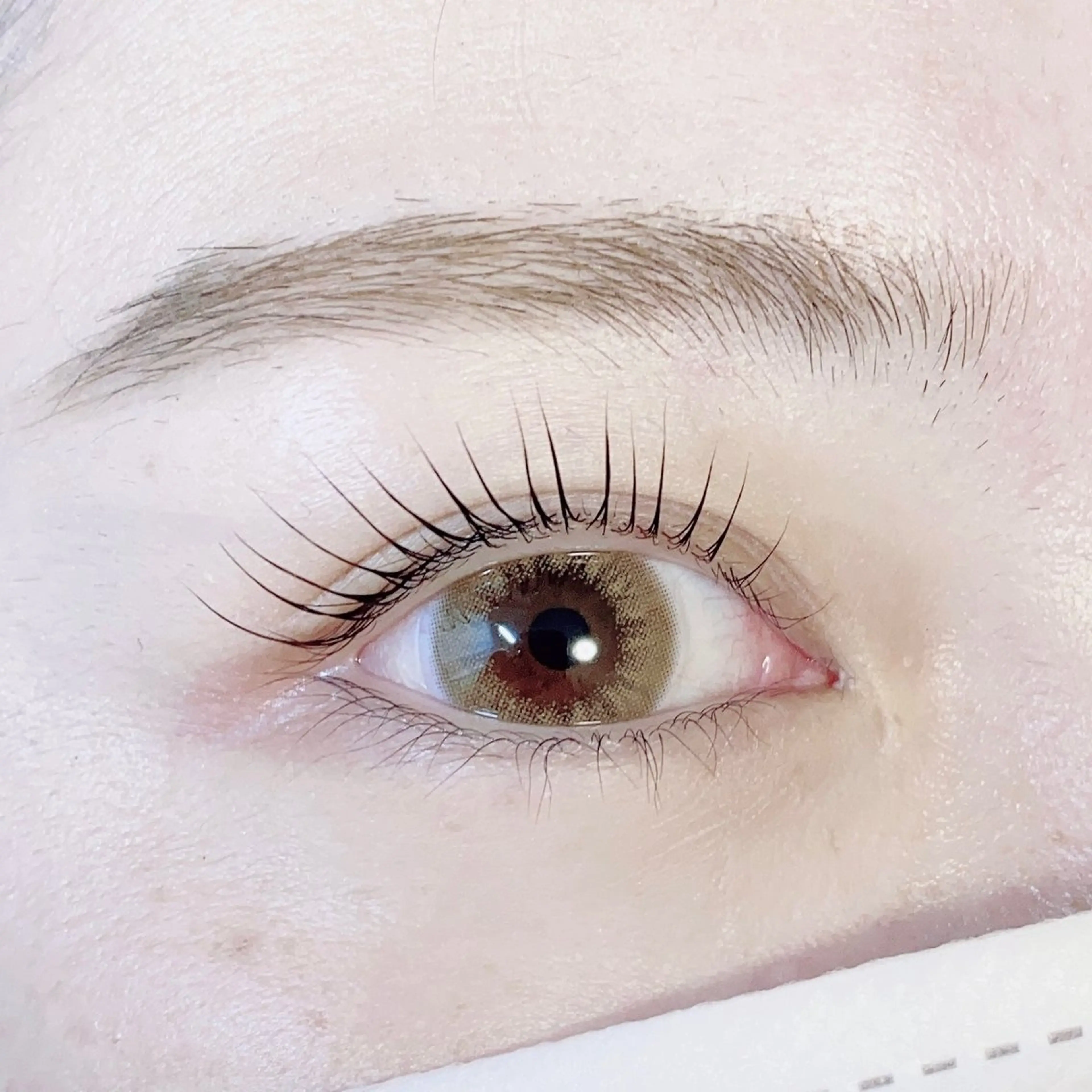 ダメージレスパーマ(上まつ毛)撮影モニター募集✨¥１０００🌟説明文をよくお読みください🌟の写真