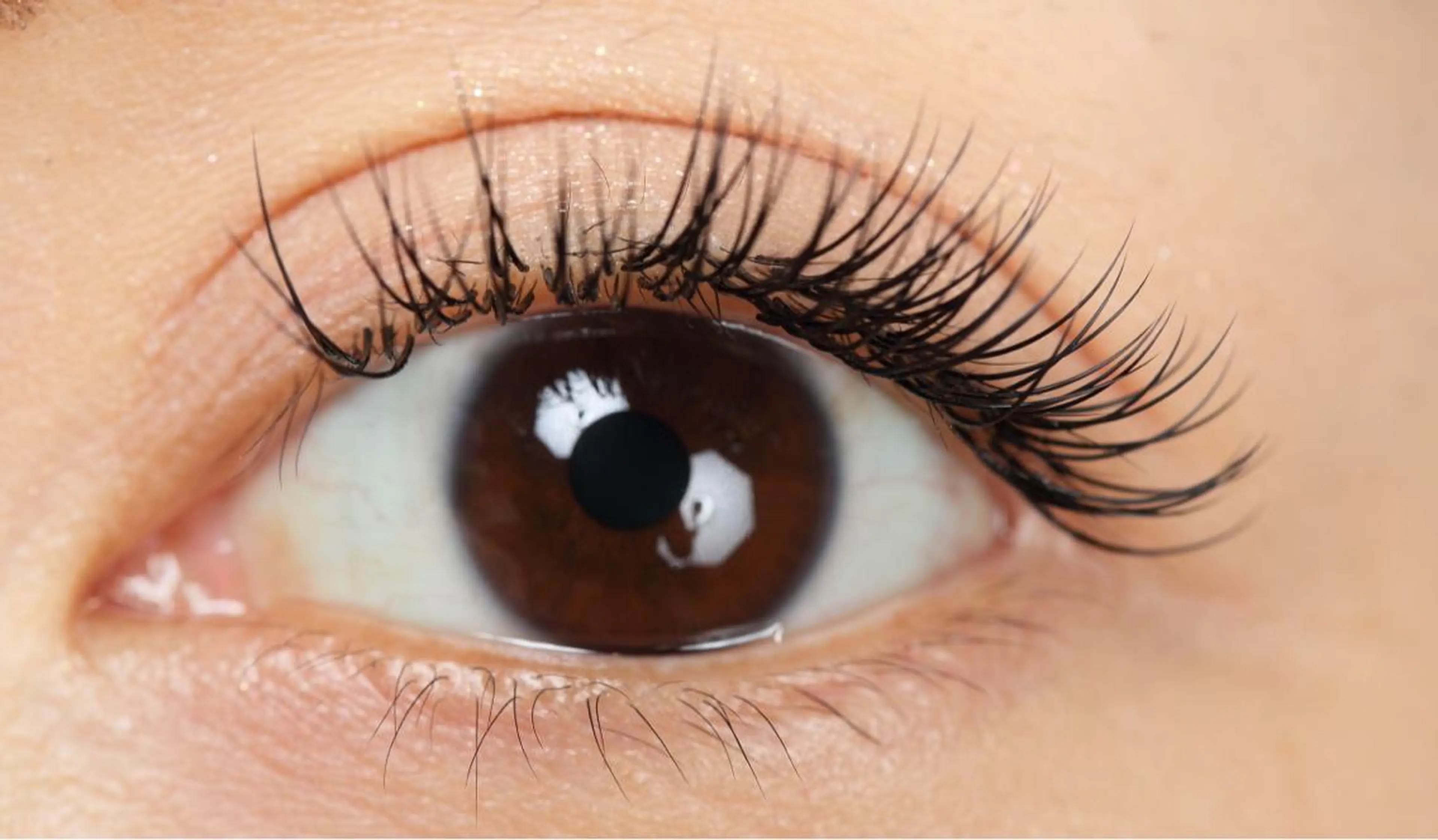 マツエク・マツパ minkstyle 代々木公園店所属・Mink Style 代々木公園店のマツエク・マツパデザイン