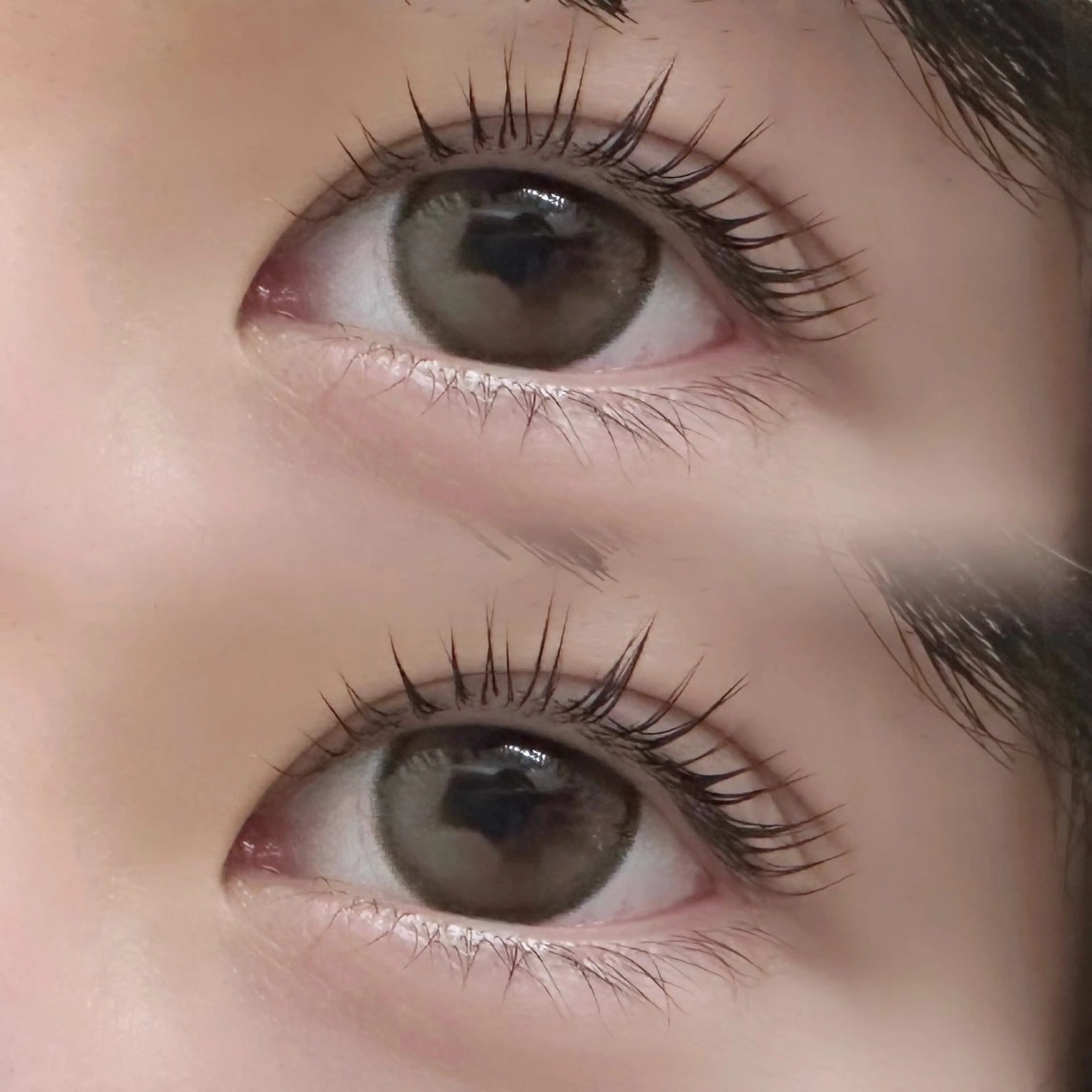 【再来🖤】まつげパーマ＋美容液コーティング⭐️の写真