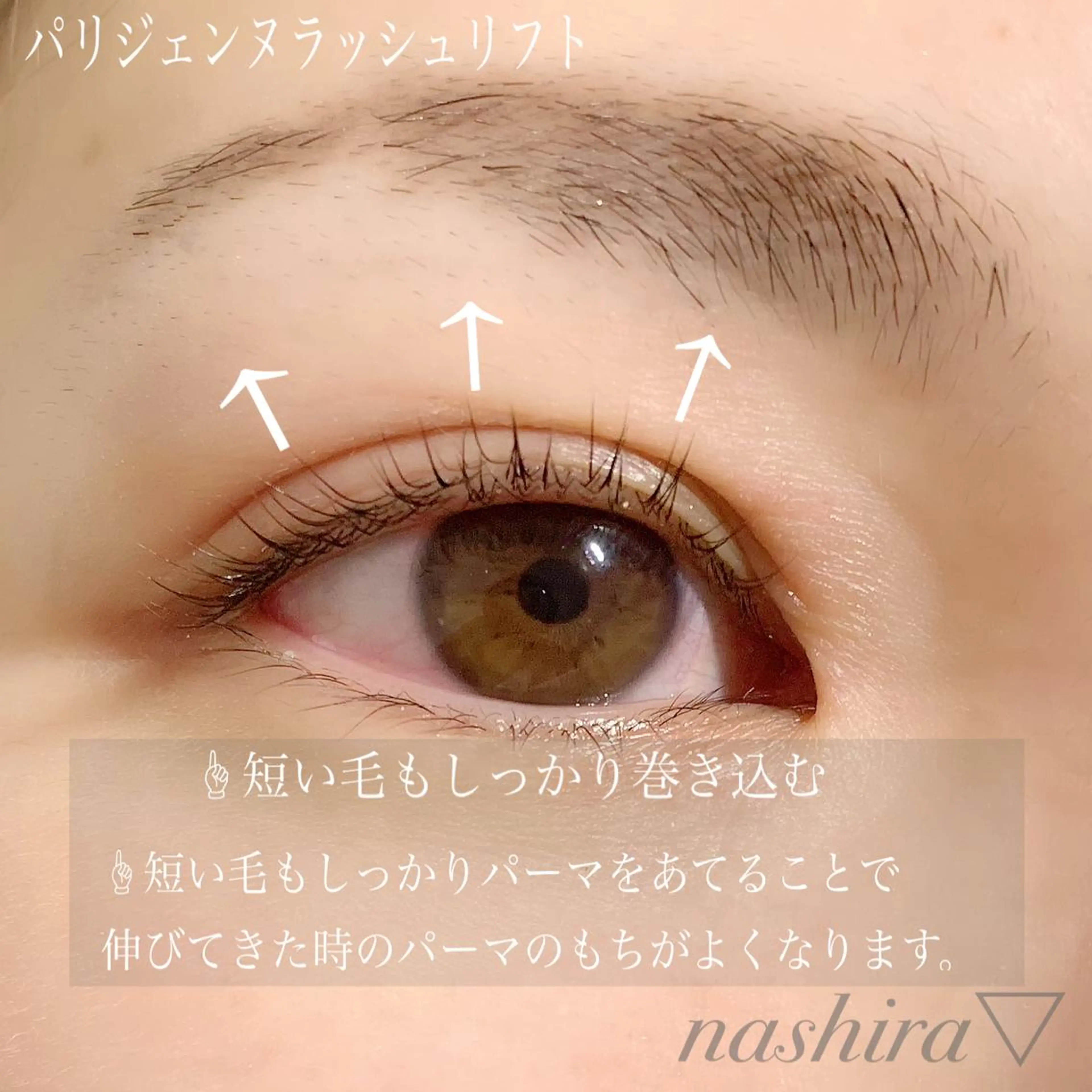 マツエク・マツパ 一重×まつ毛パーマ マツパ nashira -ナシラ- 恵比寿のマツエク・マツパデザイン