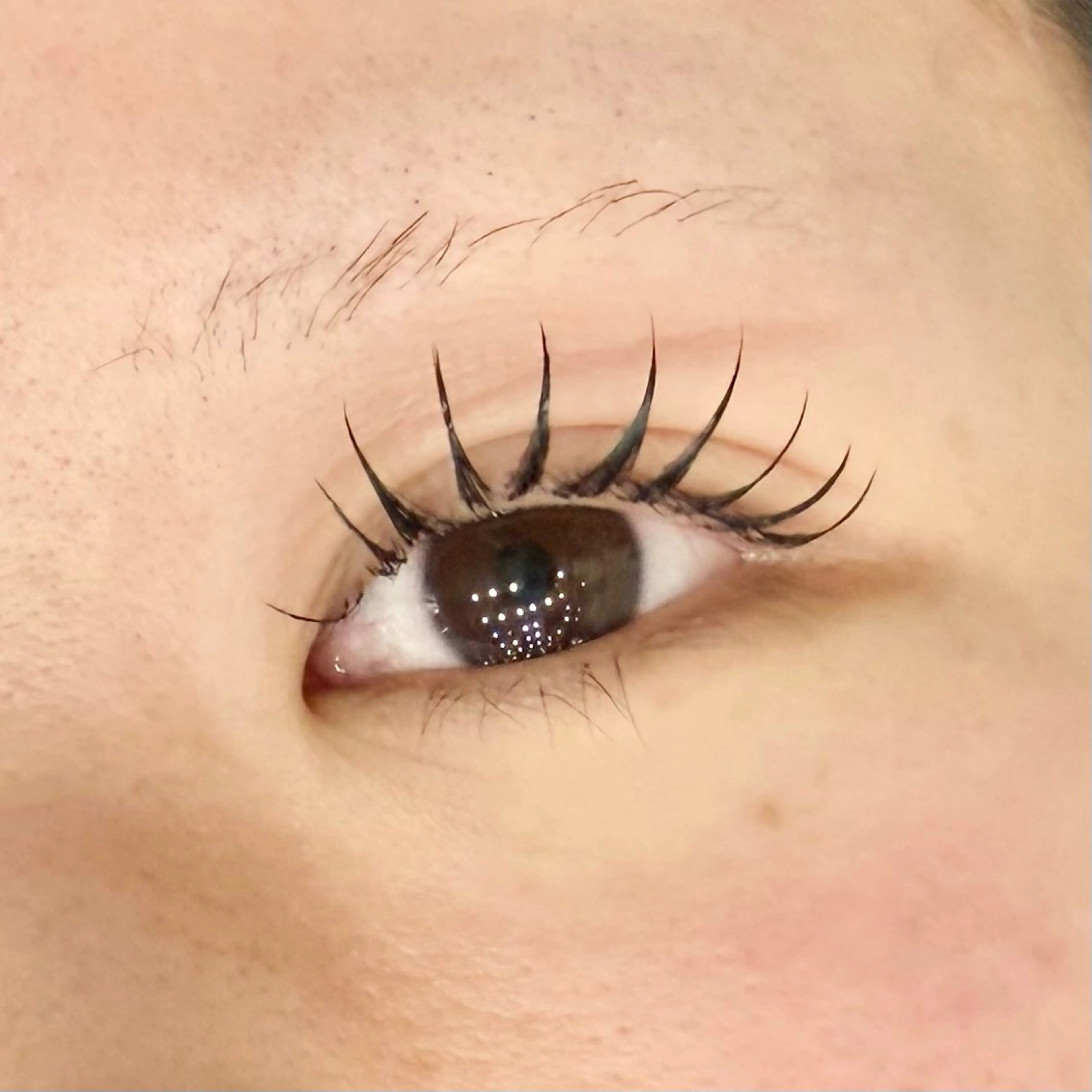 マツエク・マツパ マツエク eyeHbe TERAのマツエク・マツパデザイン