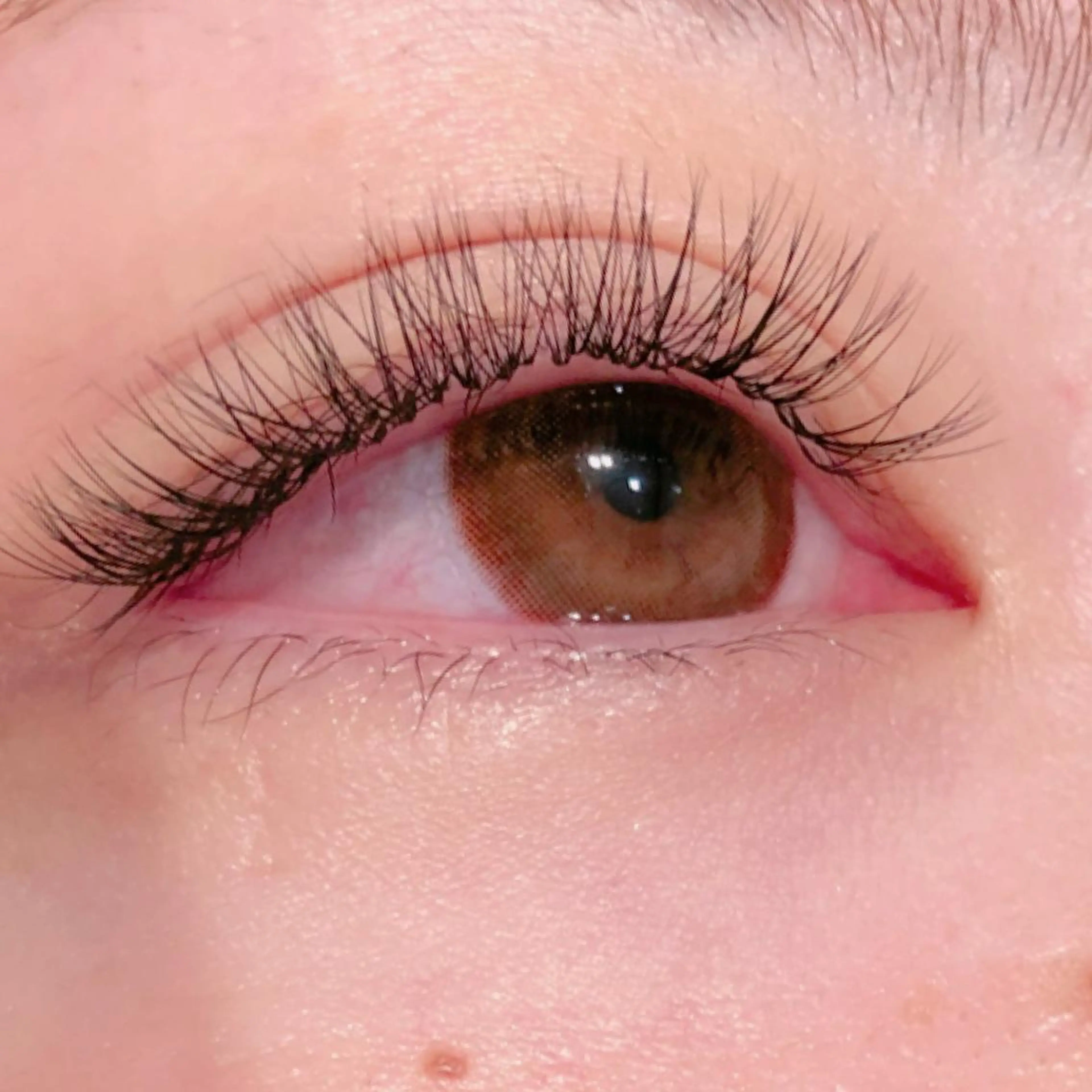 マツエク・マツパ ボリュームラッシュ eyelist マツエク🐣のマツエク・マツパデザイン