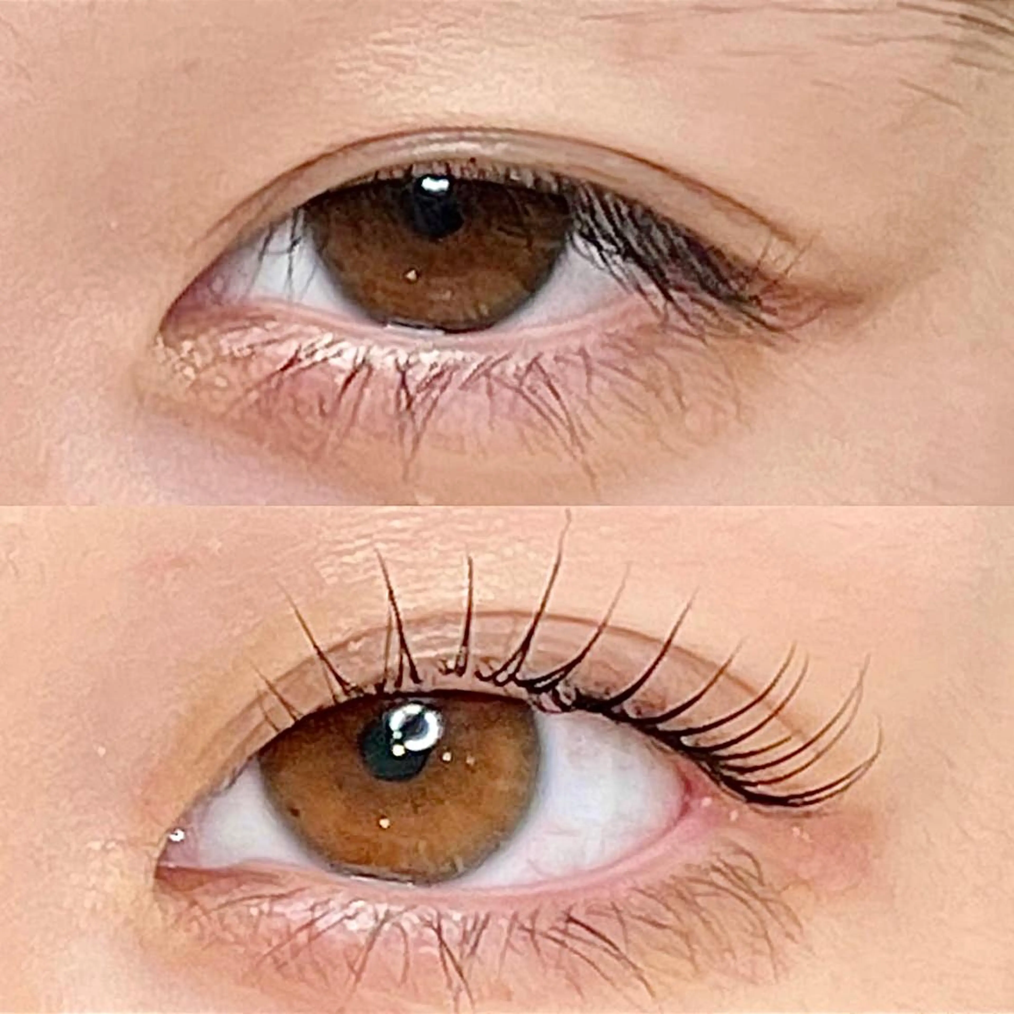 マツエク・マツパ マツパ AYLASH🧡 猪又のマツエク・マツパデザイン