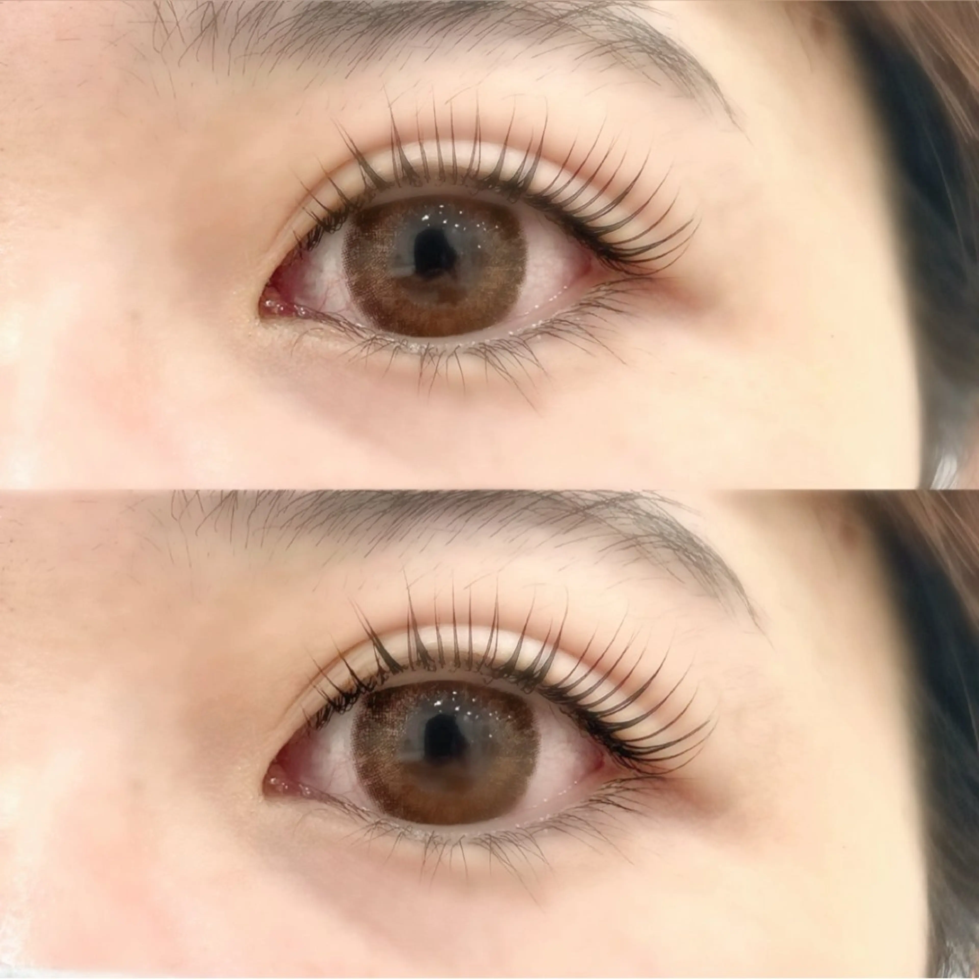 🐾マスカラパーマ🐾の写真