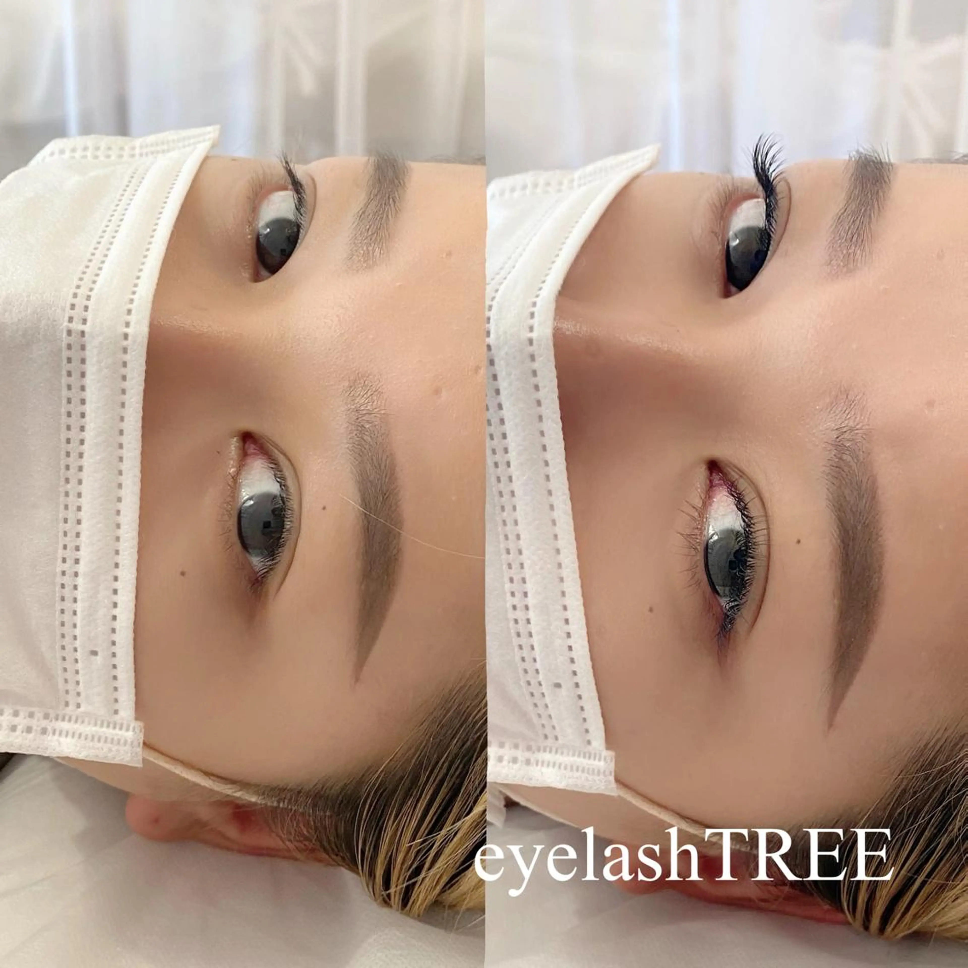 マツエク・マツパ まつげ、毛穴 TREEのエステ・リラクイメージ