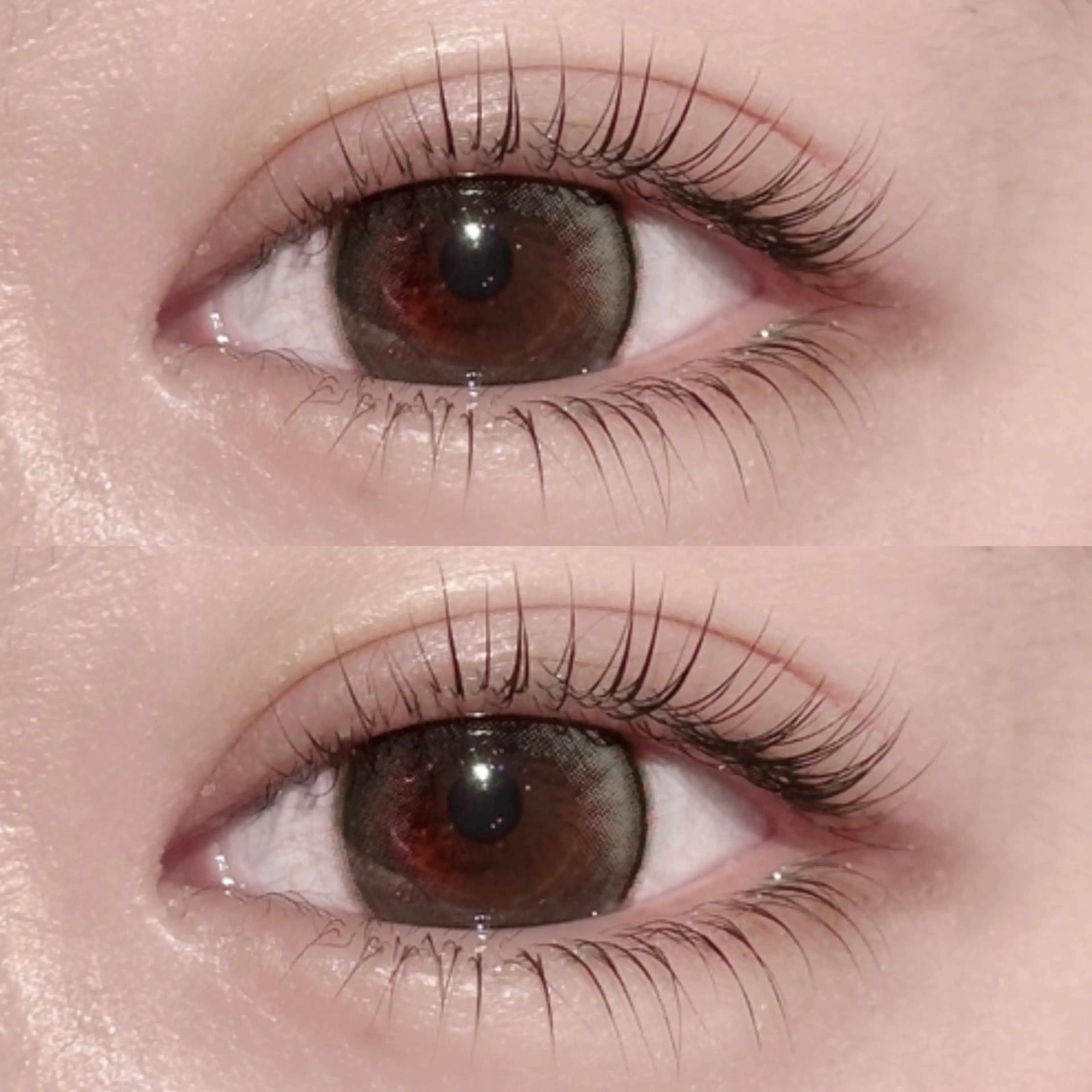 マツエク・マツパ ナチュラル 下まつげエクステ マツパ lit.🤍 kiyoneのマツエク・マツパデザイン