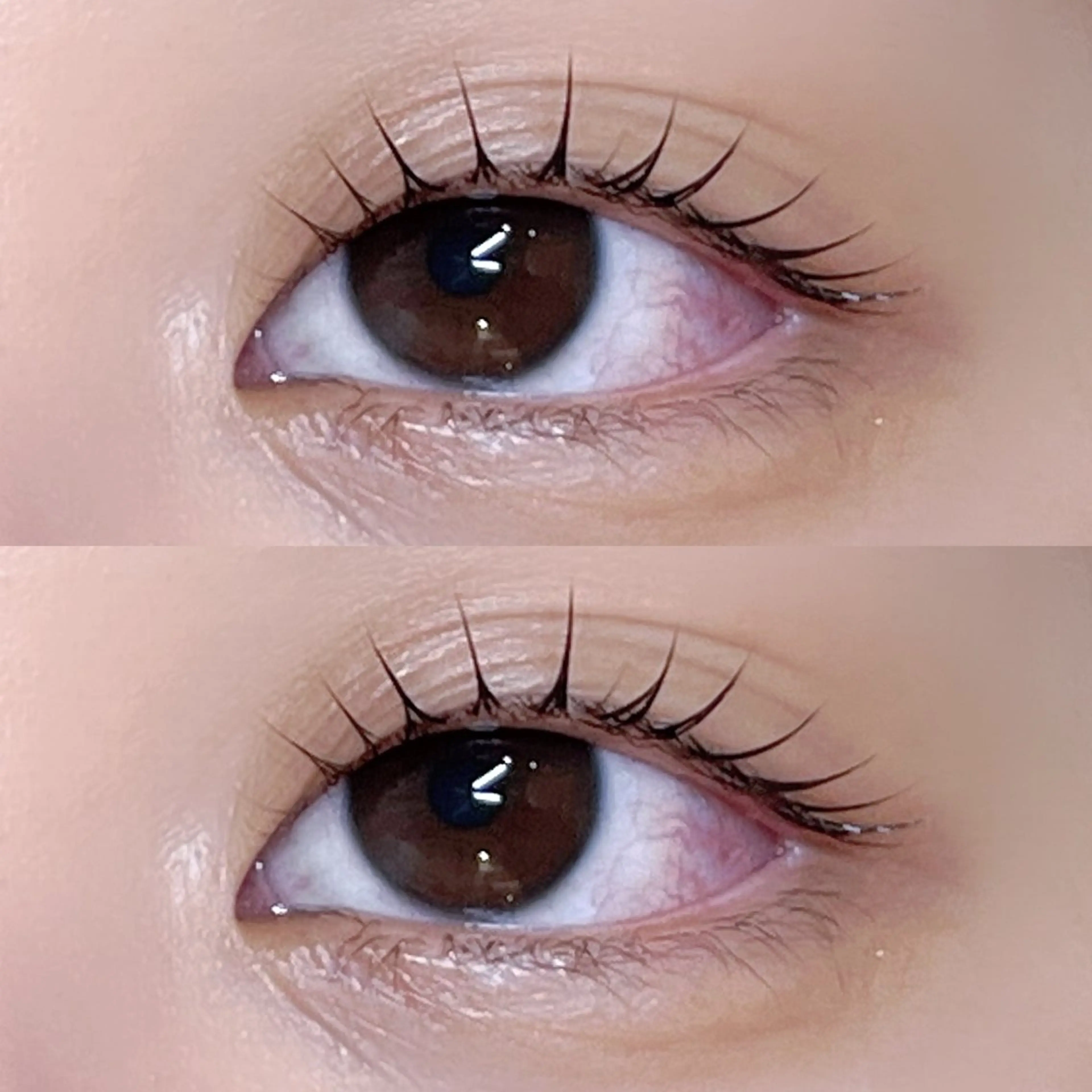 マツエク・マツパ マツパ Pupu lash🐱のその他イメージ