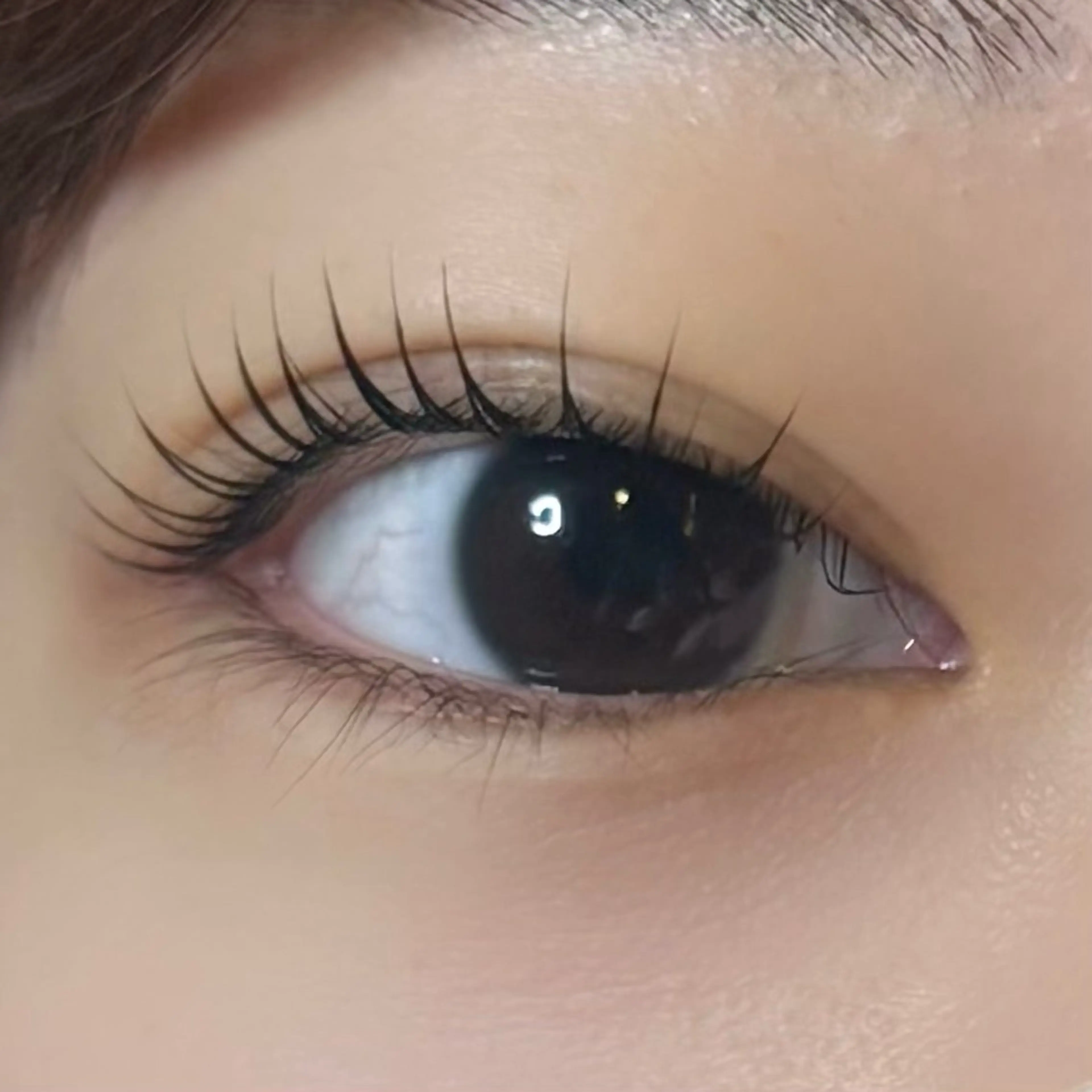 マツエク・マツパ No.3 Lash & Brow【まつ毛と眉の専門店】所属・柴田 采音の眉毛・アイブロウイメージ