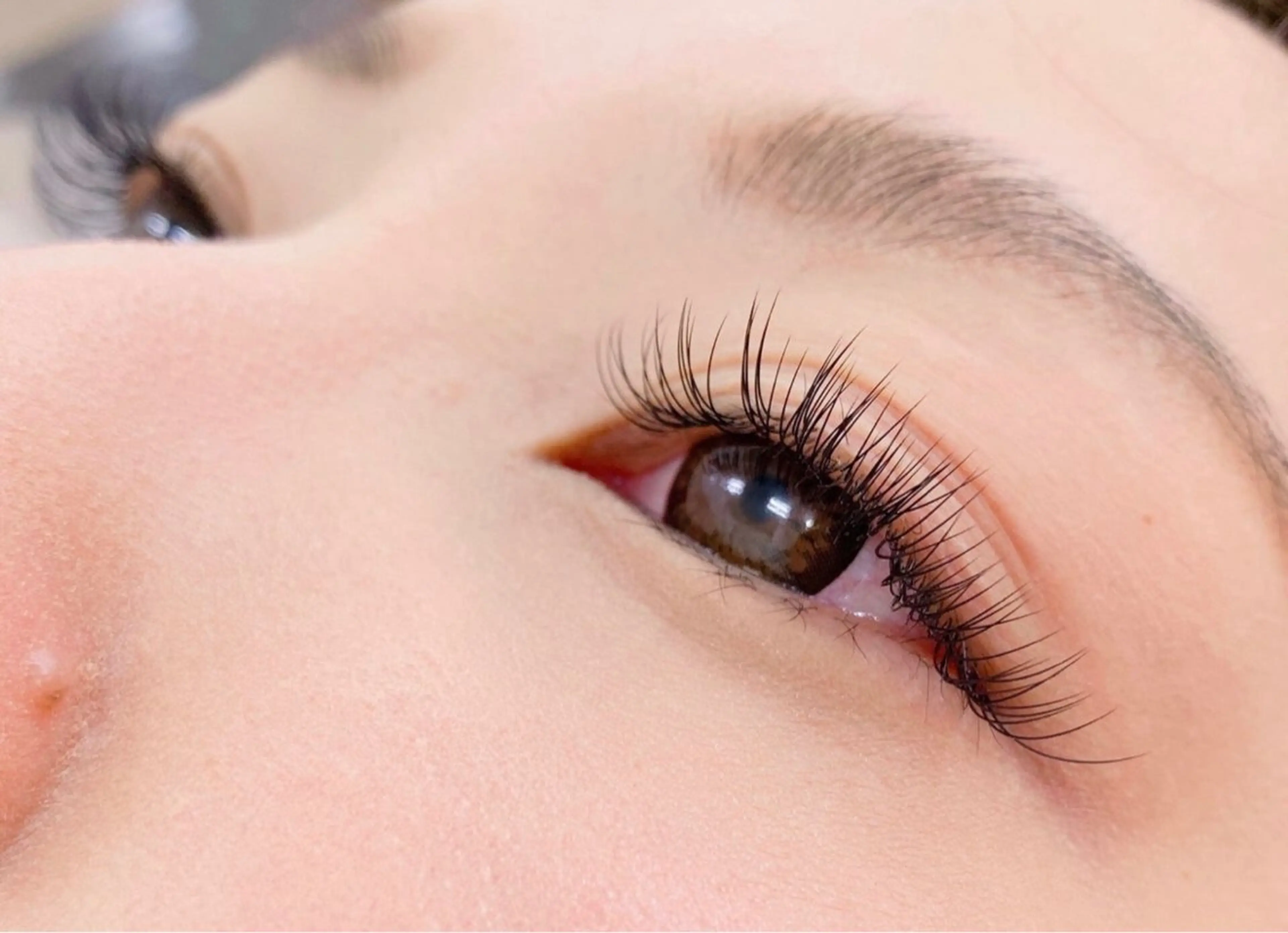 🔸平日限定🔸フラットラッシュ付け放題【オフ込み】の写真