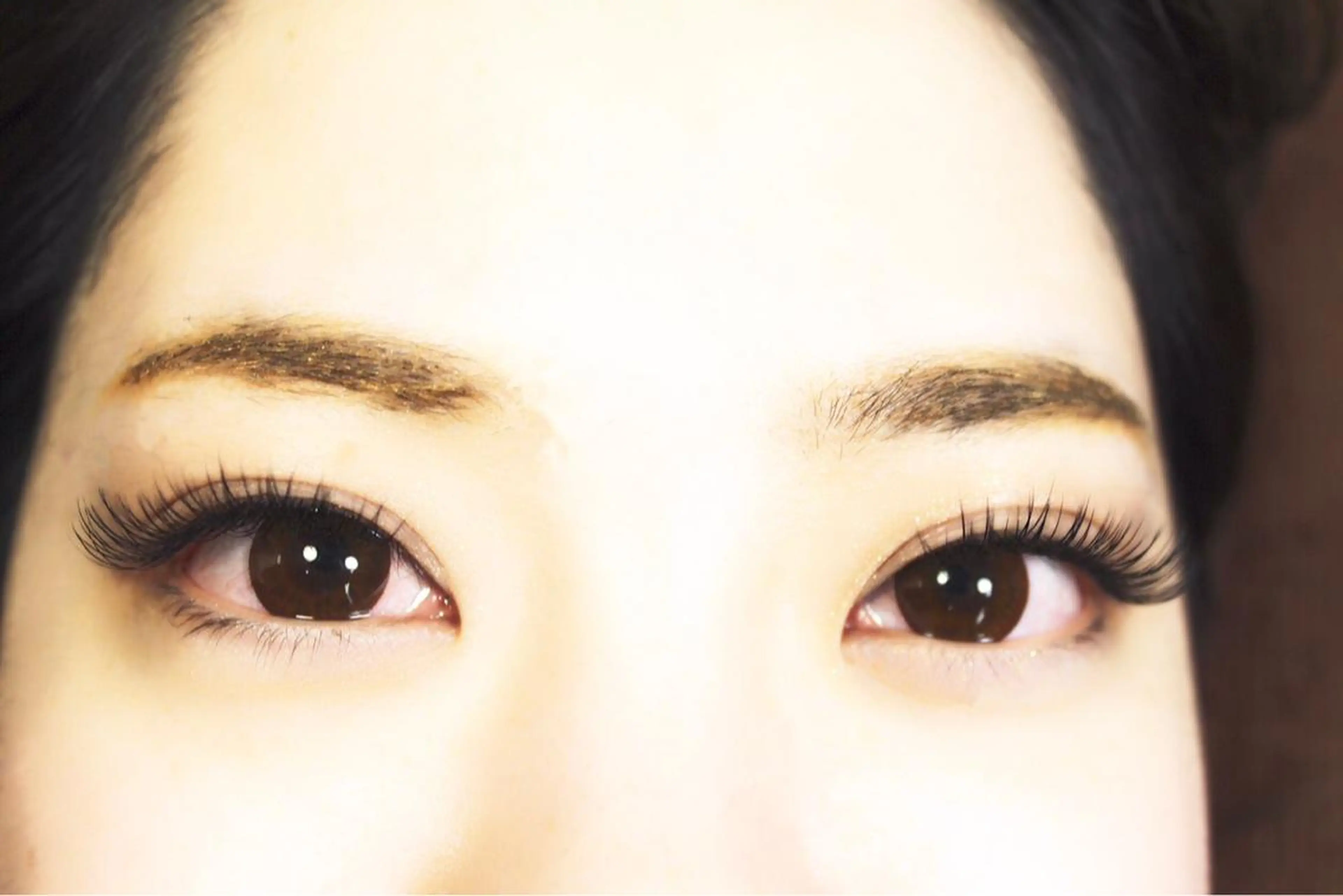 🧡🧡【オフ無料】セーブル120本　5200円の写真